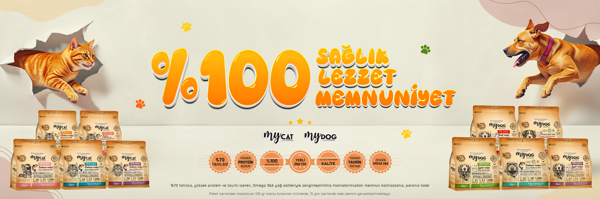 %100 Memnuniyet - Web