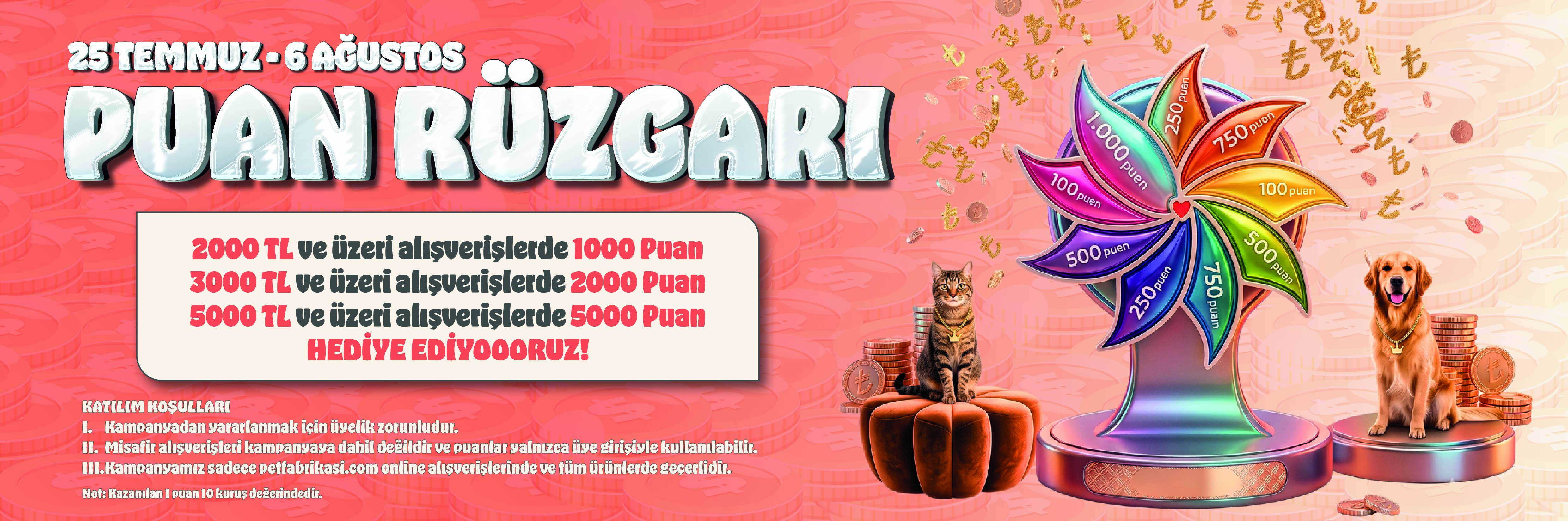 Puan Rüzgarı - Web