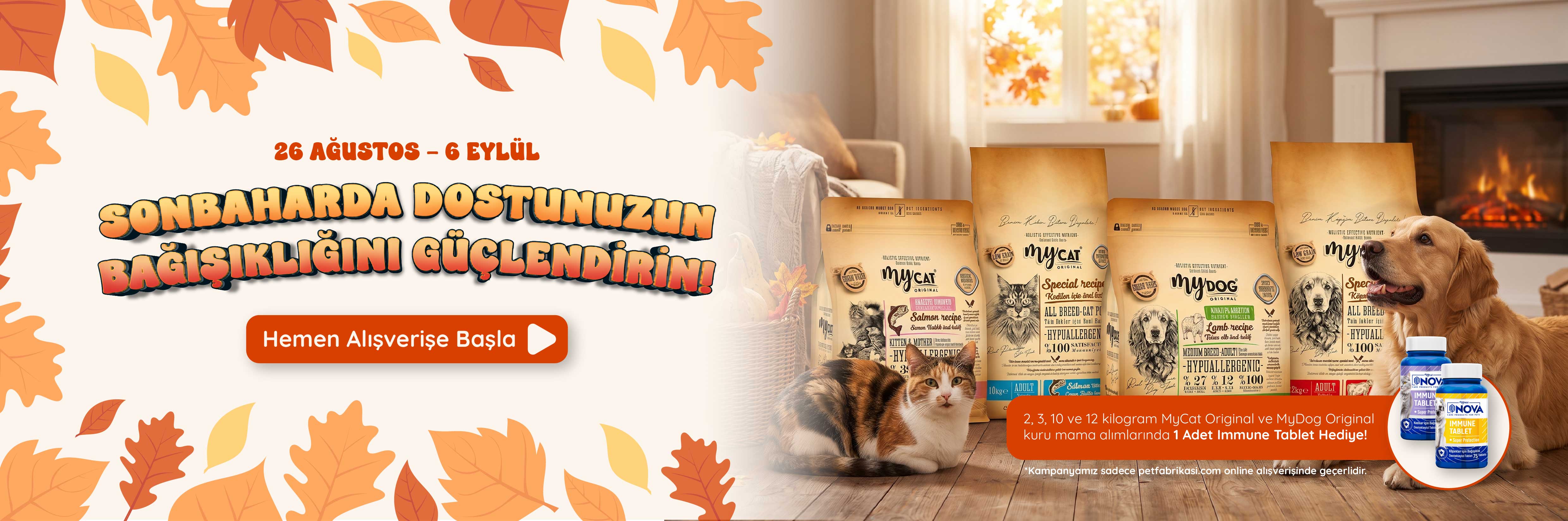 Sonbaharda Dostunuzun Bağışıklığını Güçlendirin - Web