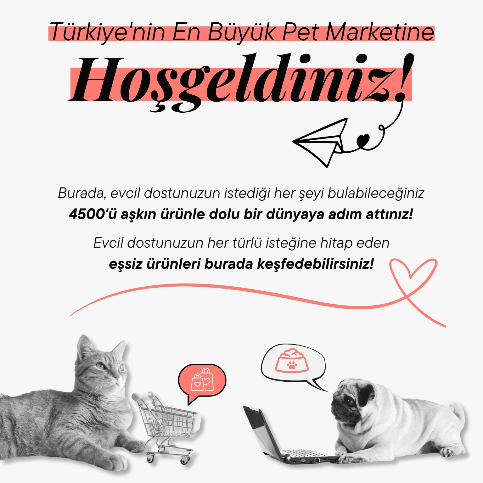 Hoşgeldiniz - Mobil