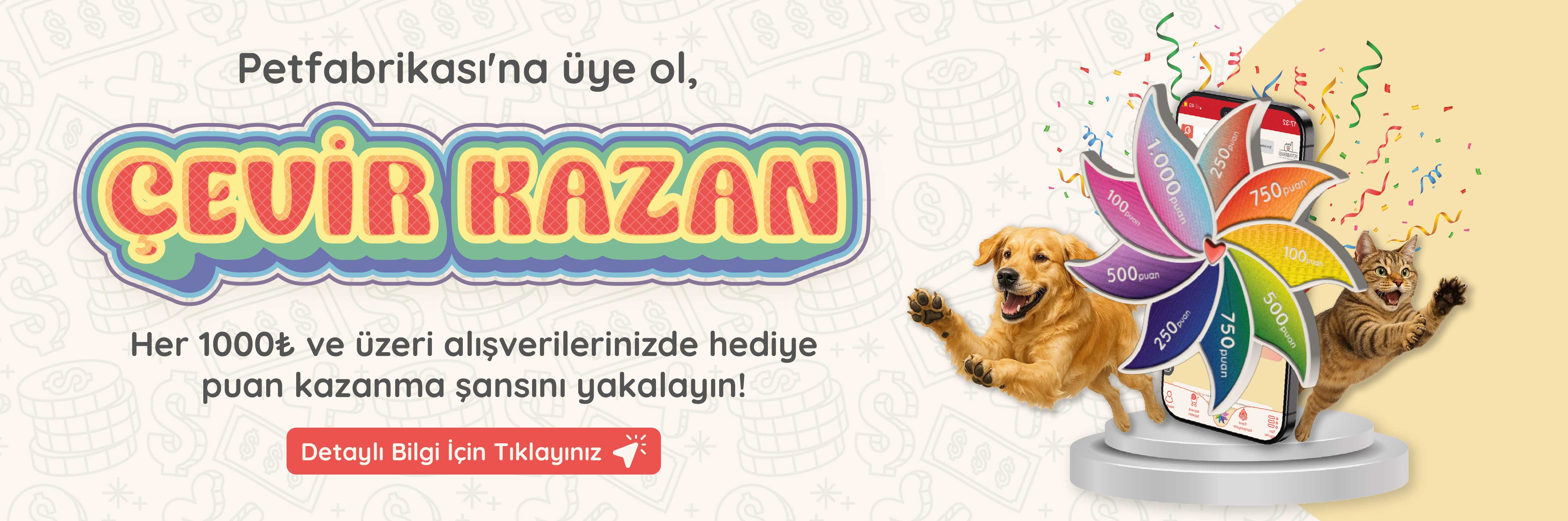 Hediye Rüzgarı - Web