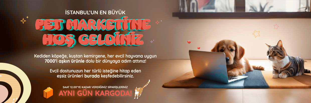 Hoşgeldiniz - Web