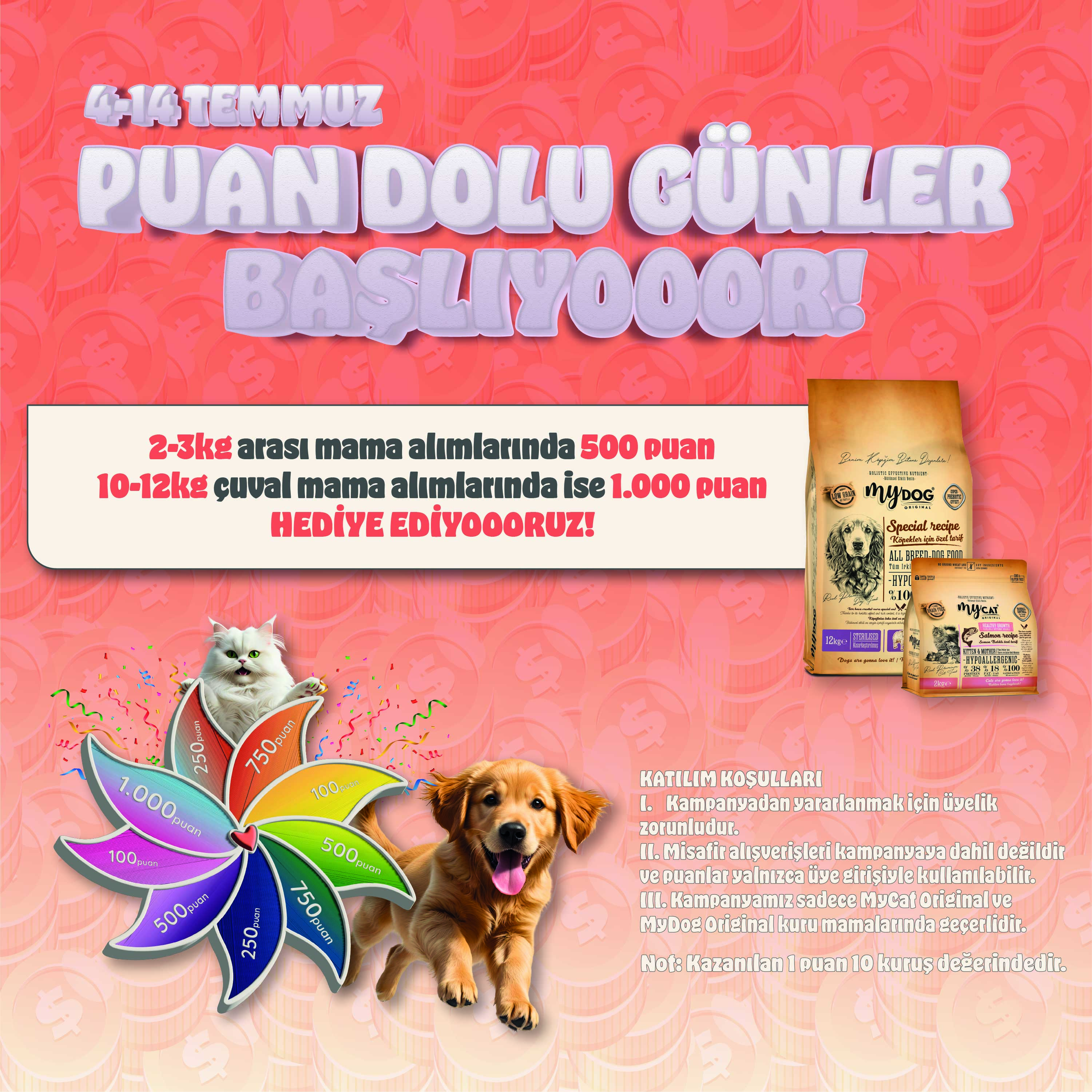 Puan Dolu Günler - Mobil