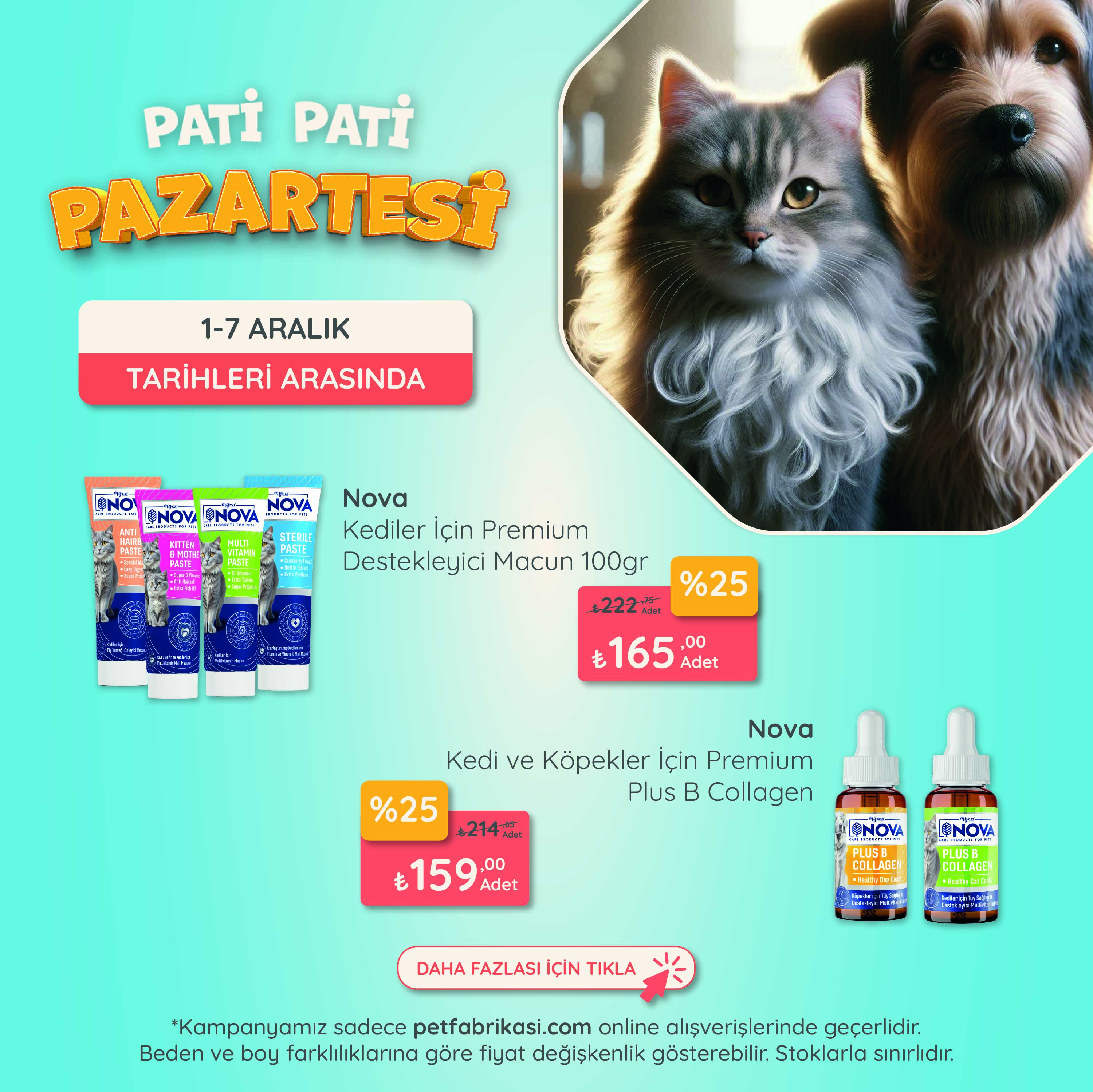 Pati Pati Pazartesi - Mobil