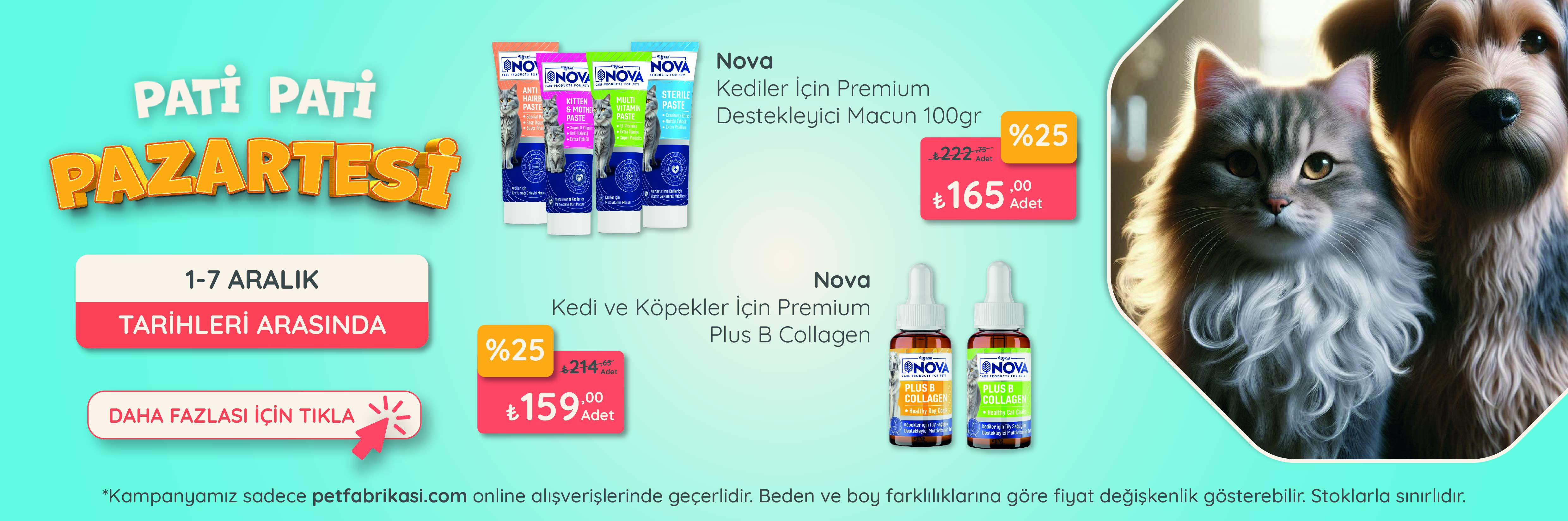 Pati Pati Pazartesi - Web