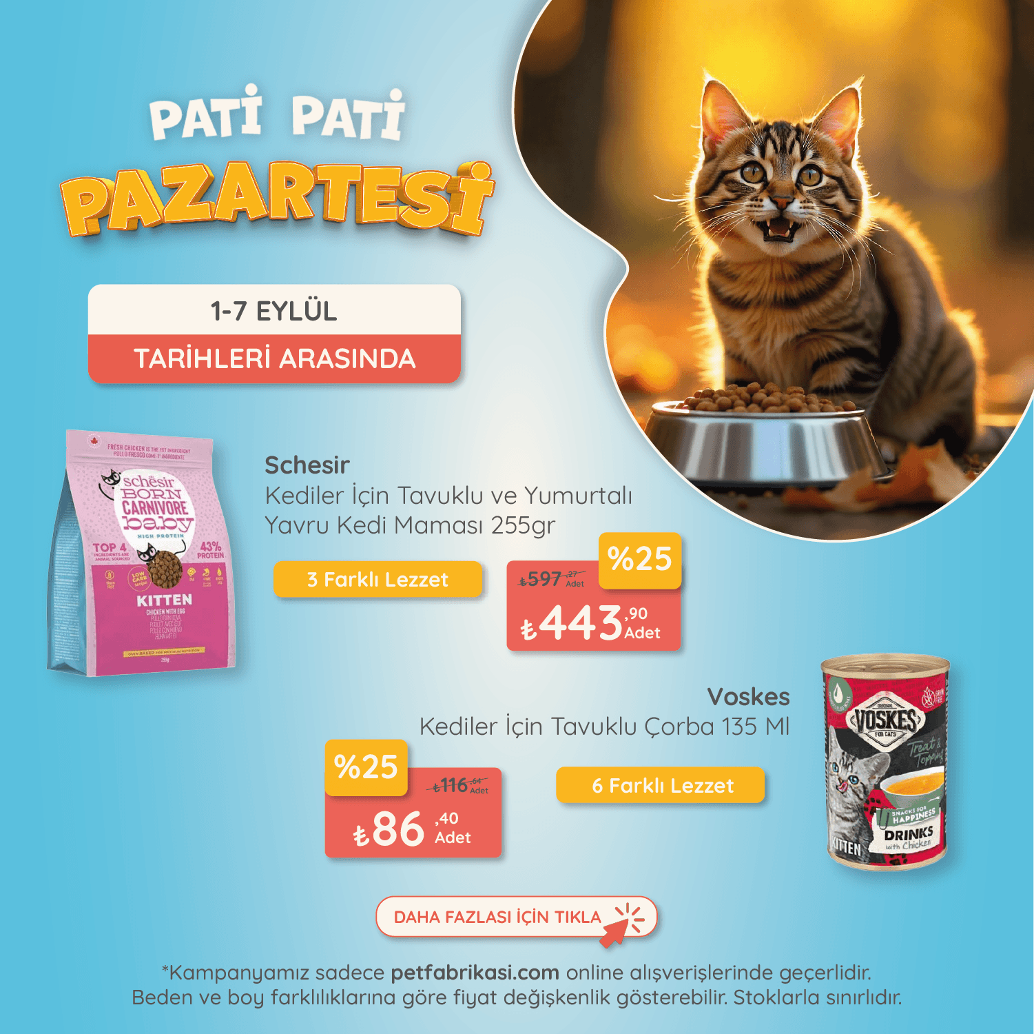 Pati Pati Pazartesi - Mobil