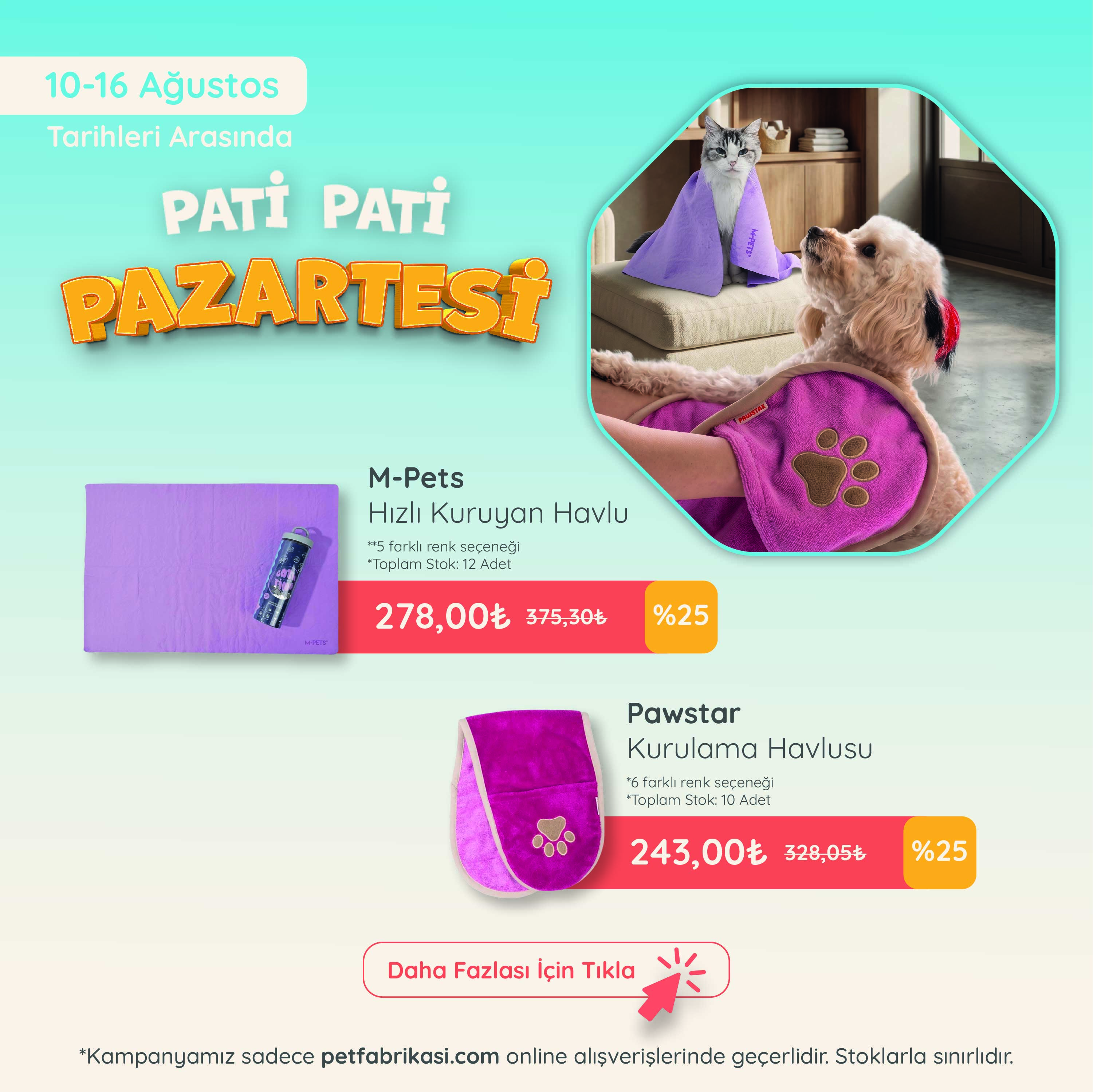 Pati Pati Pazartesi - Mobil