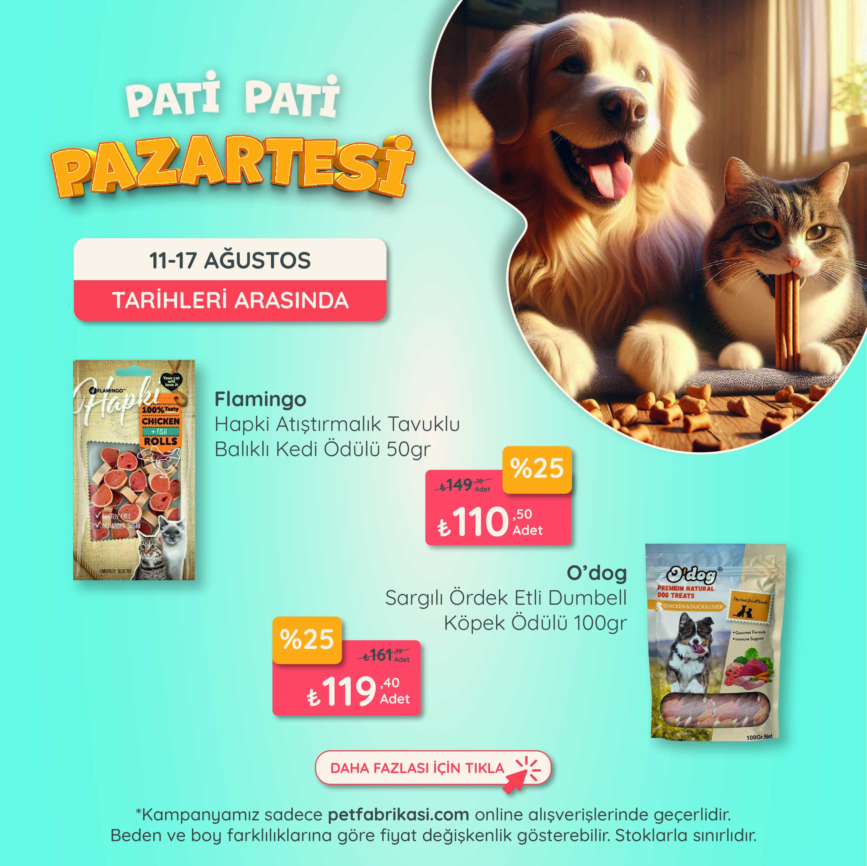 Pati Pati Pazartesi - Mobil