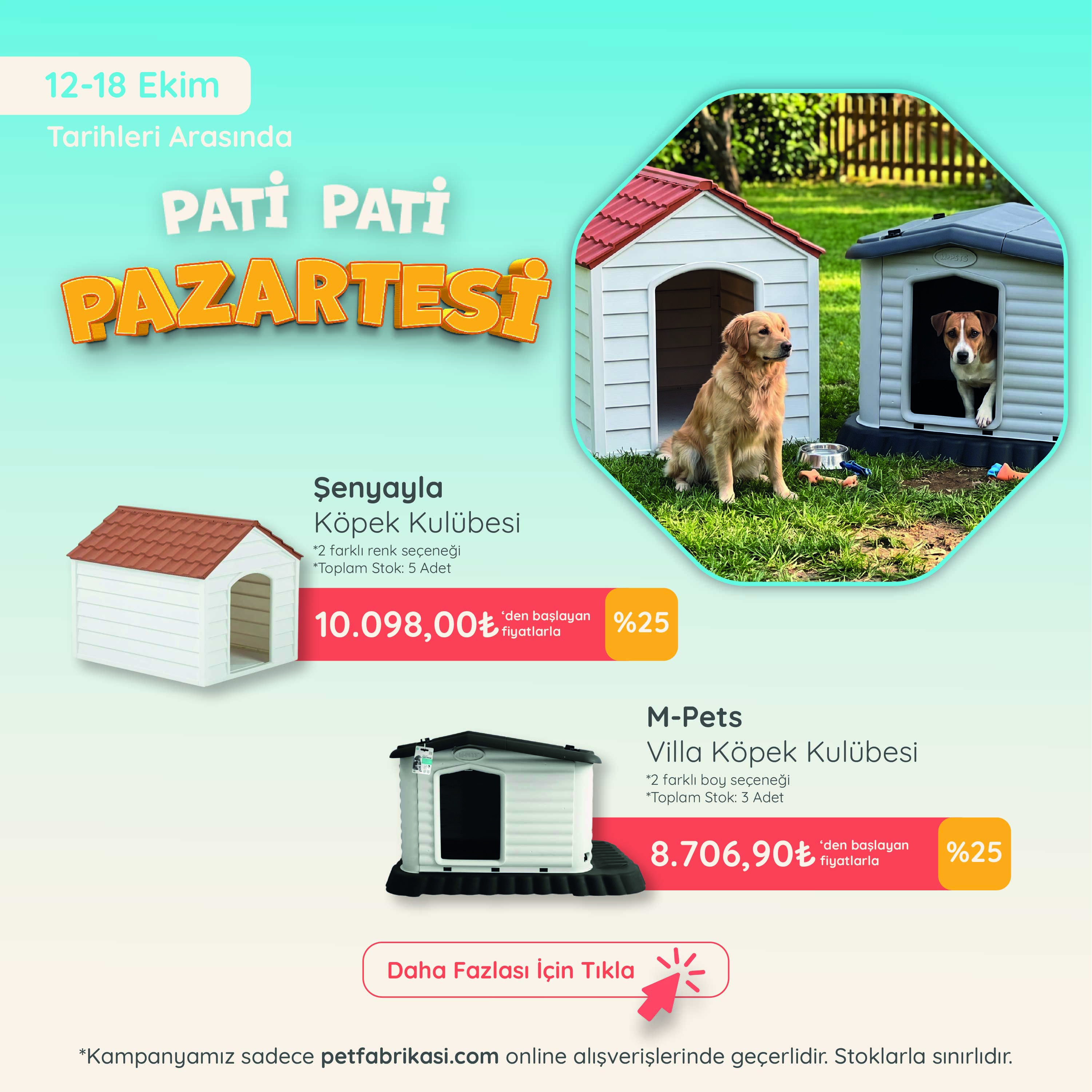 Pati Pati Pazartesi - Mobil