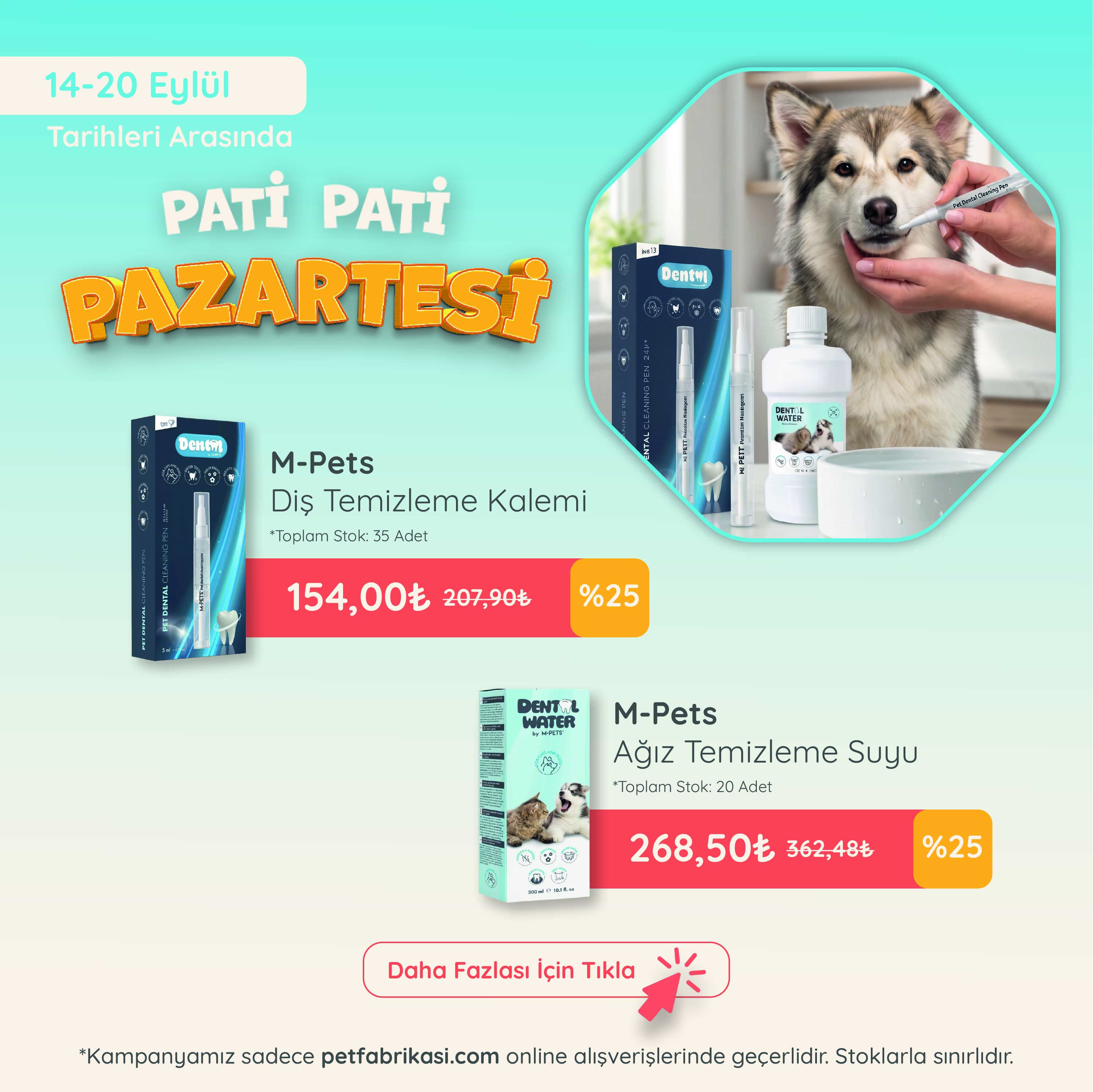 Pati Pati Pazartesi - Mobil