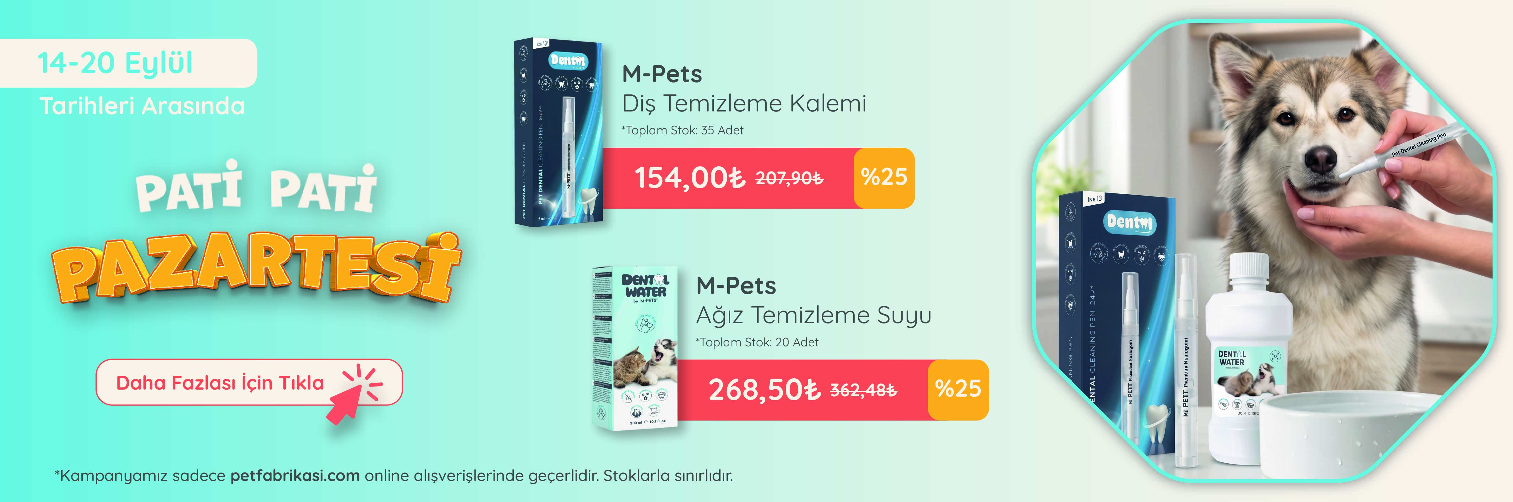 Pati Pati Pazartesi - Web