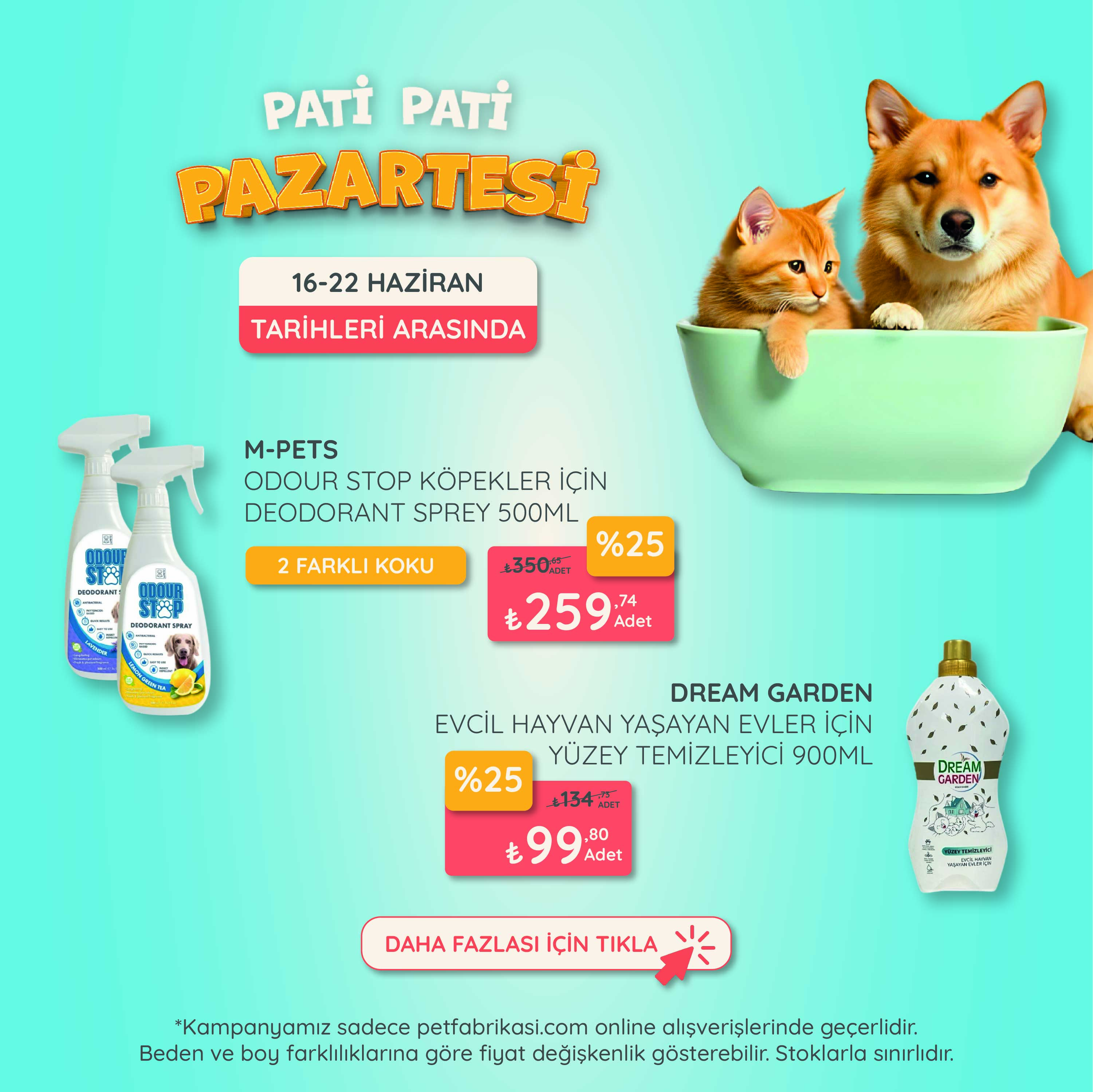 Pati Pati Pazartesi - Mobil