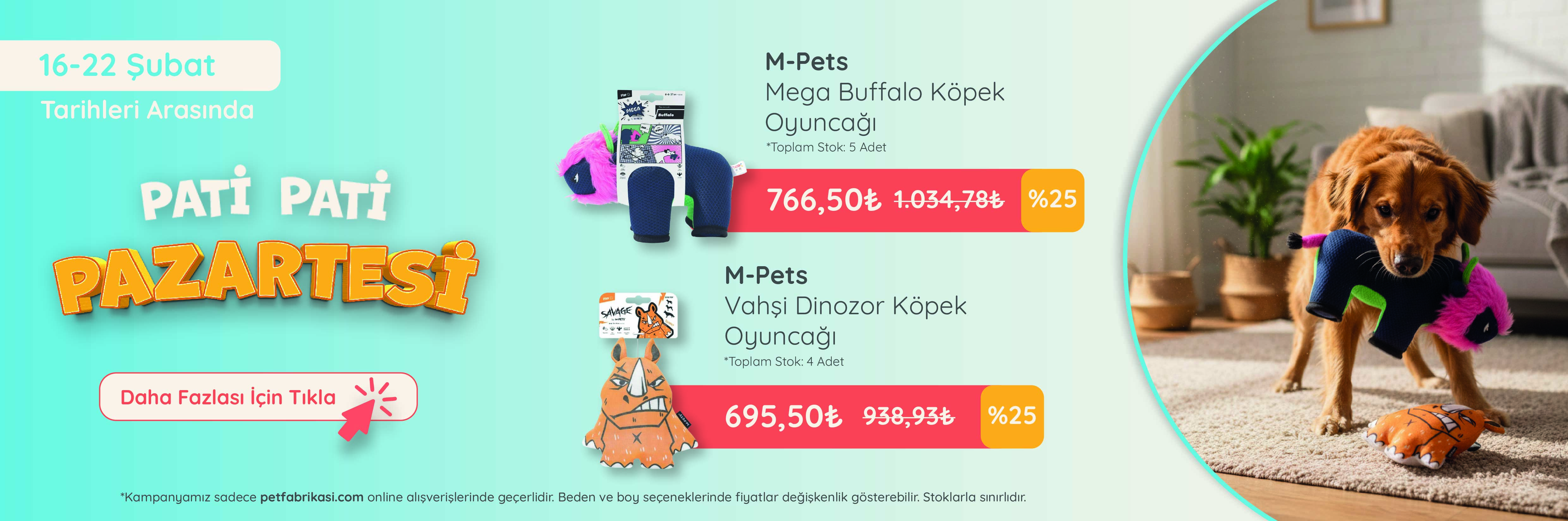 Pati Pati Pazartesi - Web