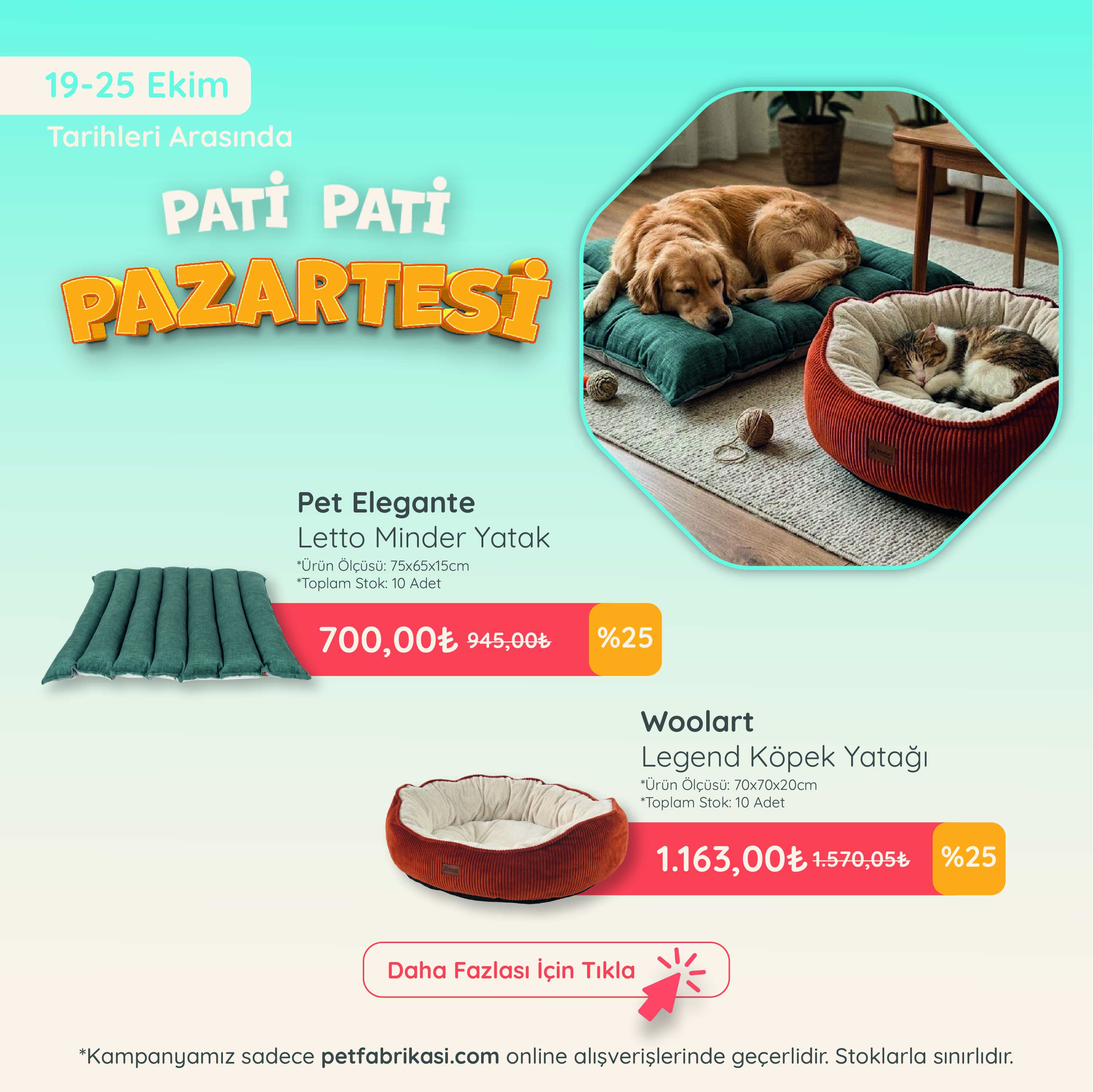 Pati Pati Pazartesi - Mobil