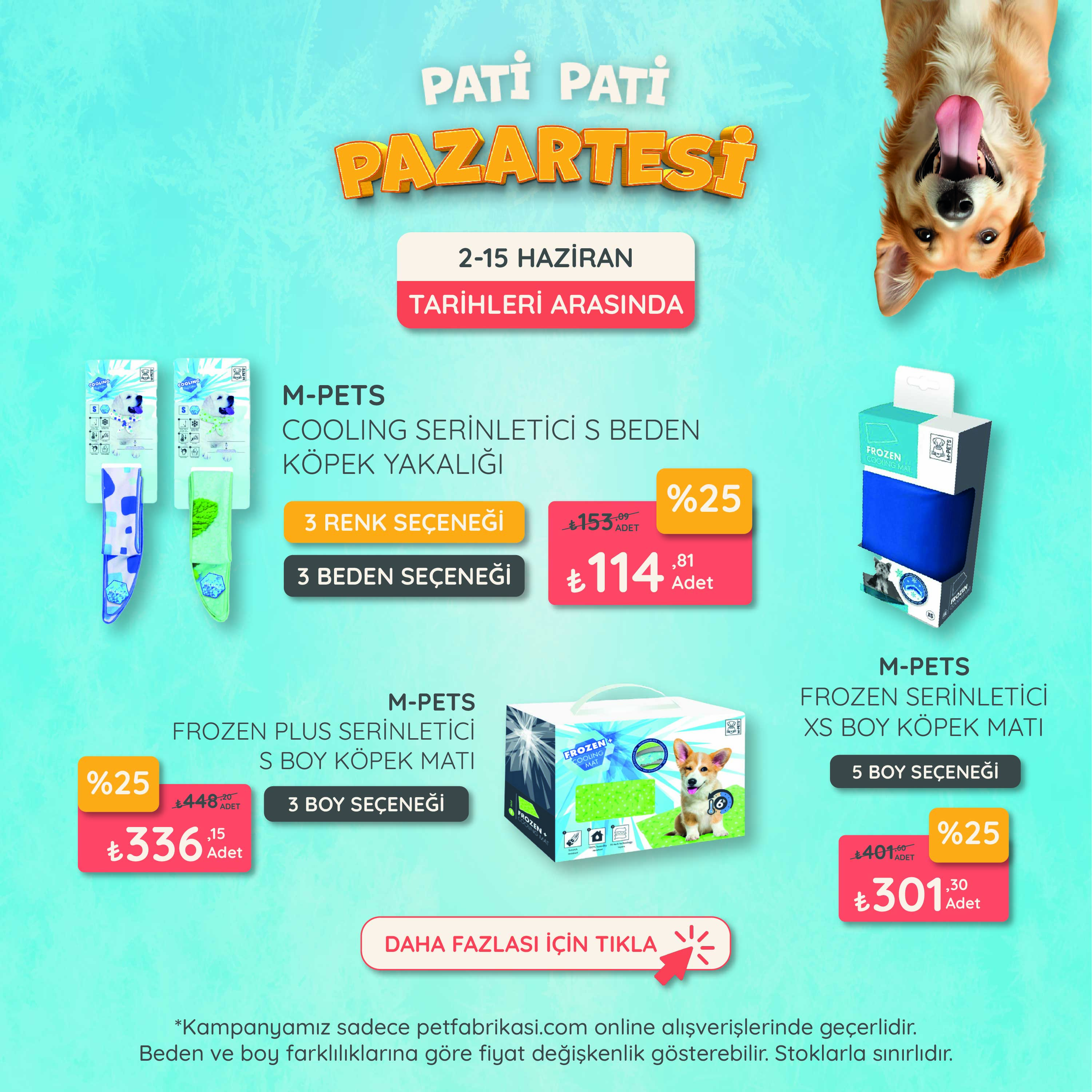 Pati Pati Pazartesi - Mobil
