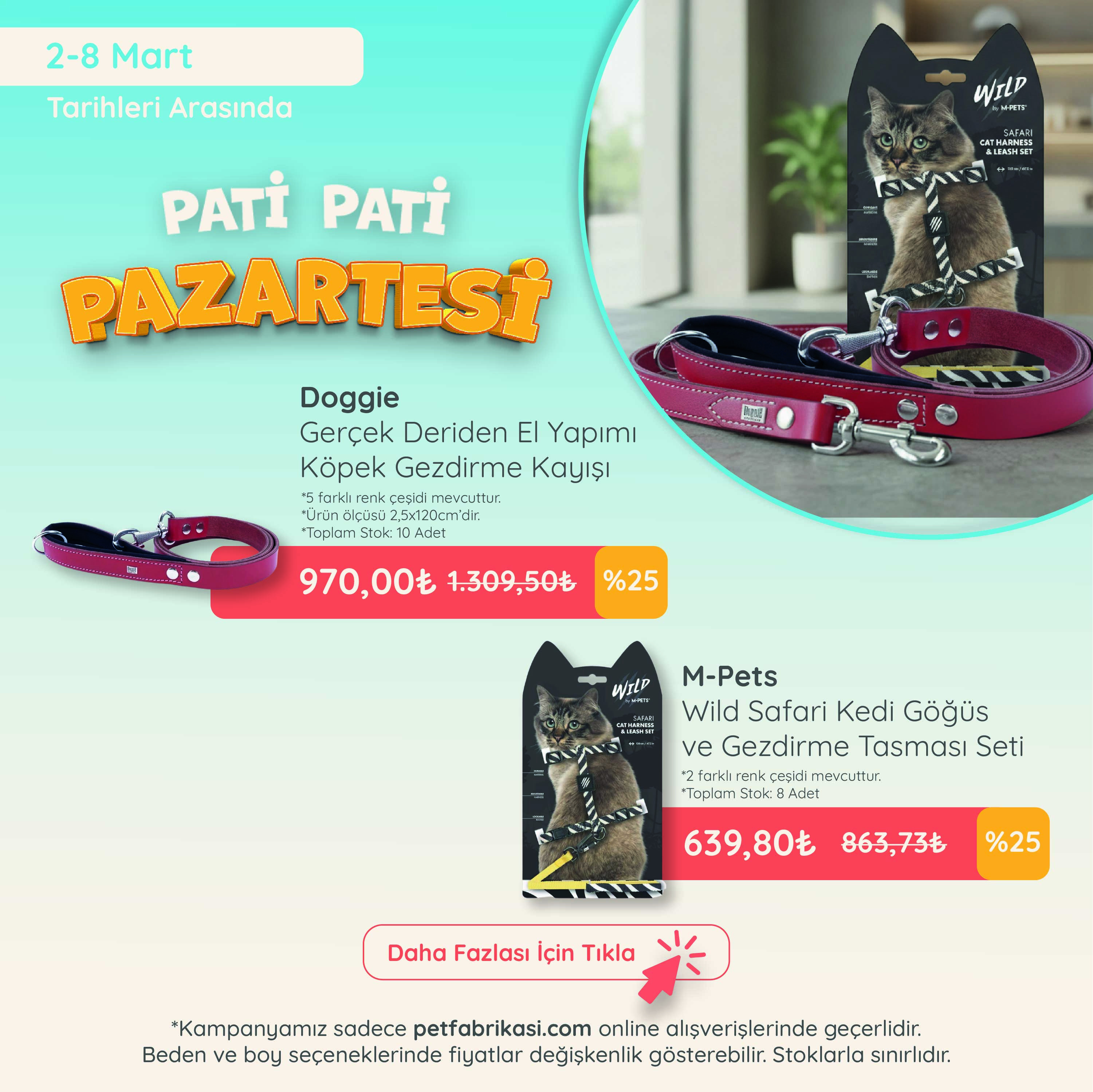 Pati Pati Pazartesi - Mobil