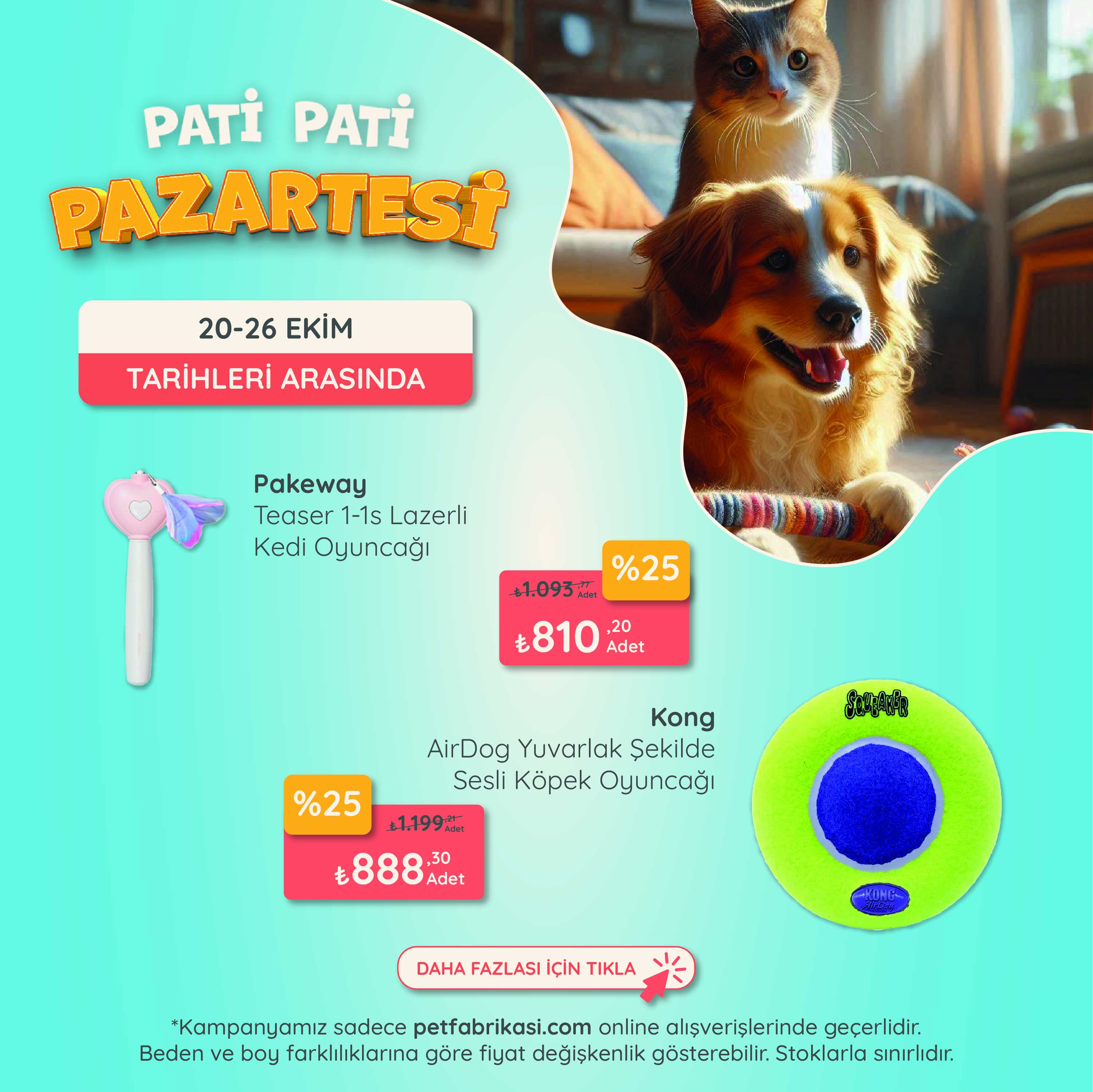 Pati Pati Pazartesi - Mobil
