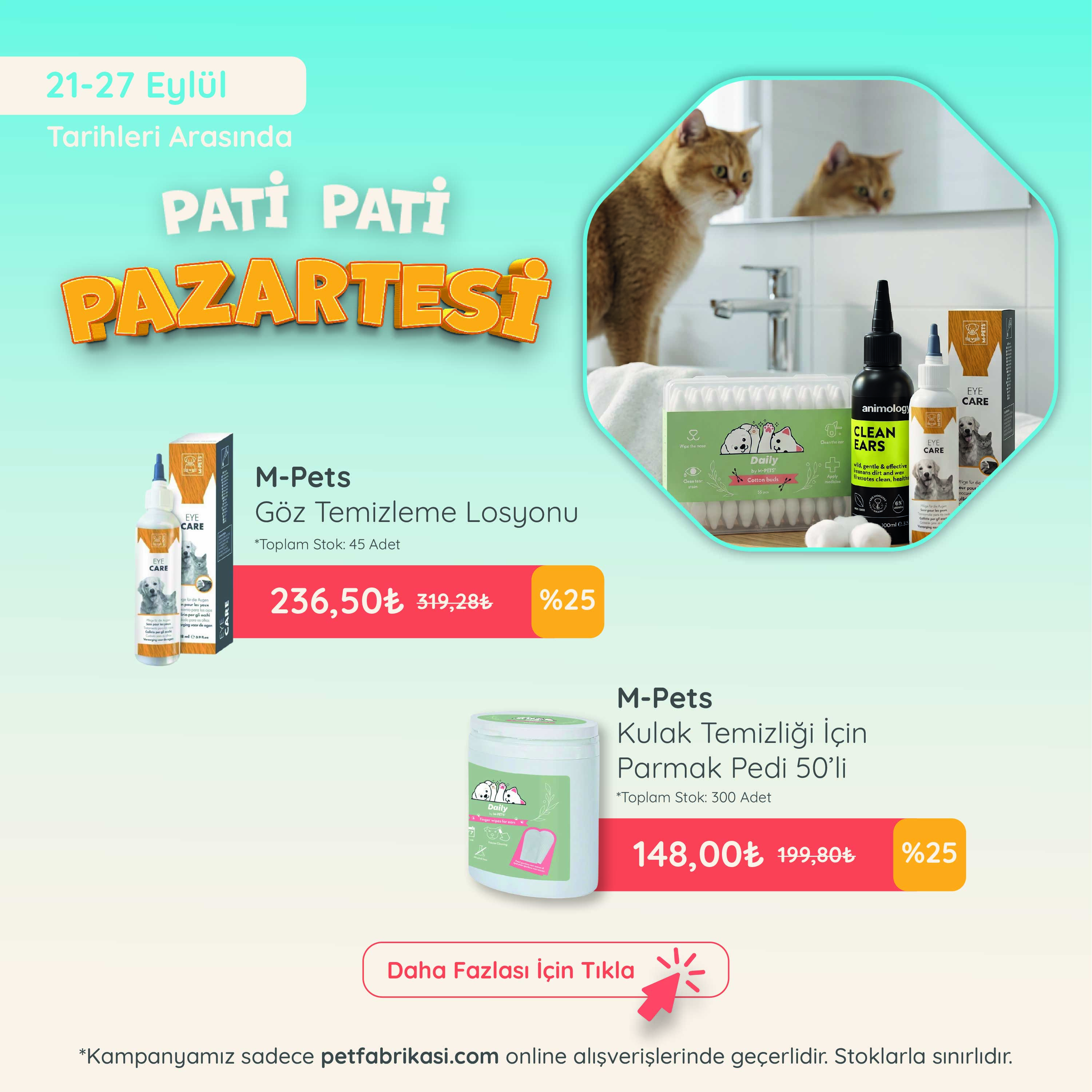 Pati Pati Pazartesi - Mobil