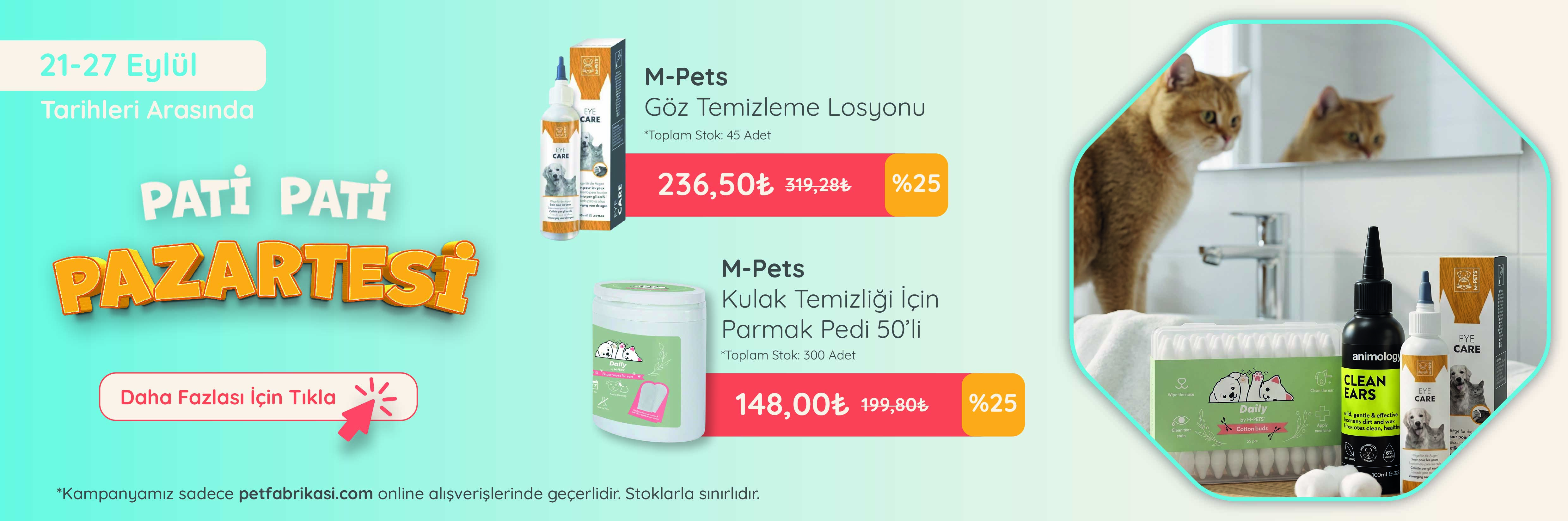 Pati Pati Pazartesi - Web