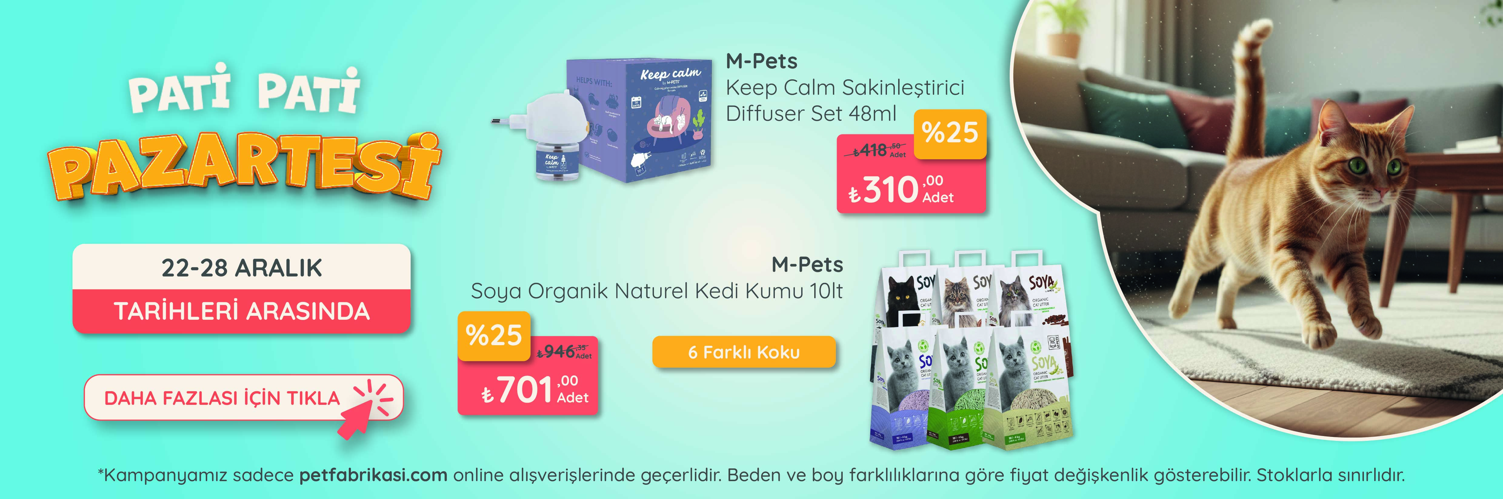 Pati Pati Pazartesi - Web