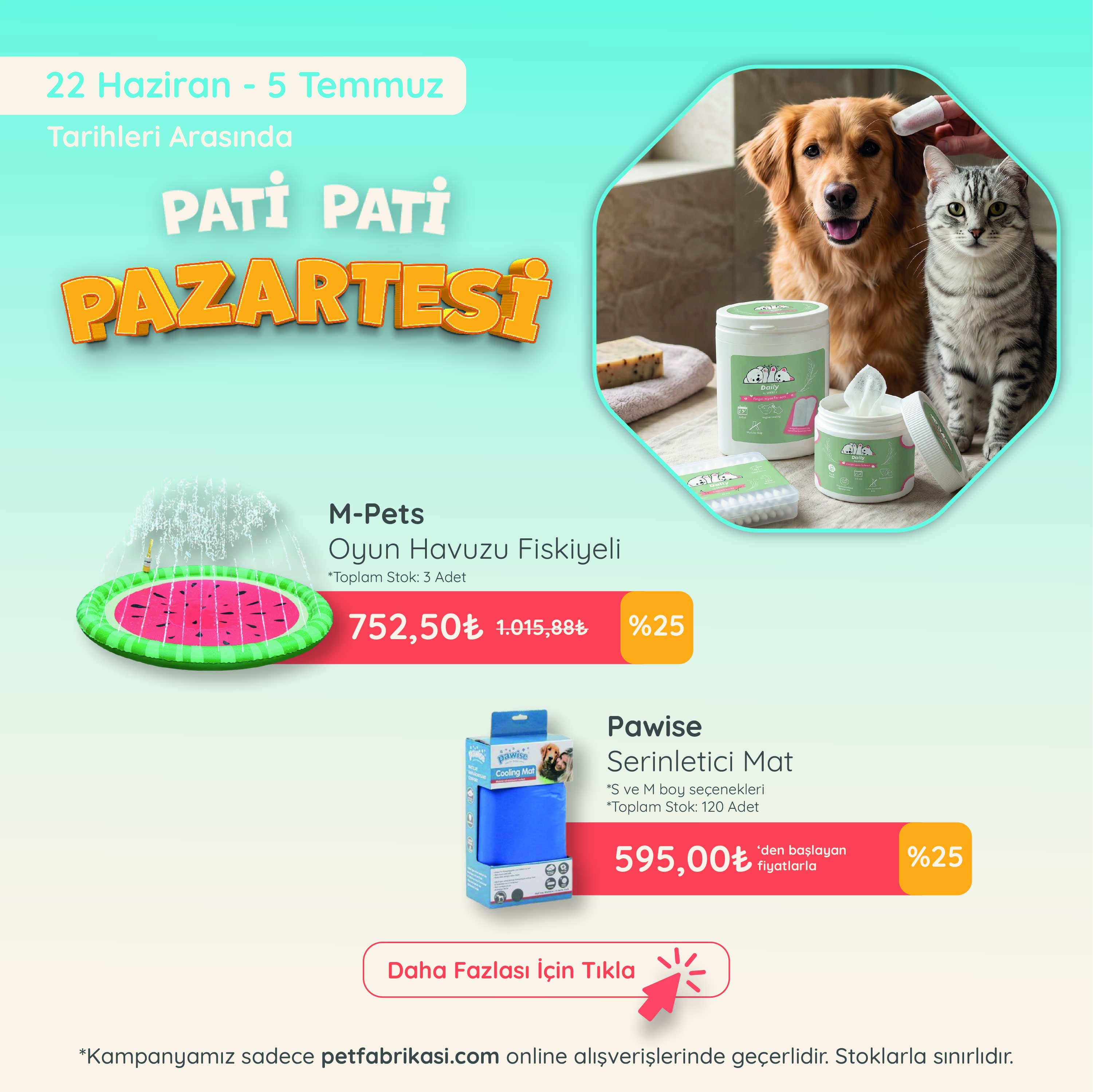 Pati Pati Pazartesi - Mobil