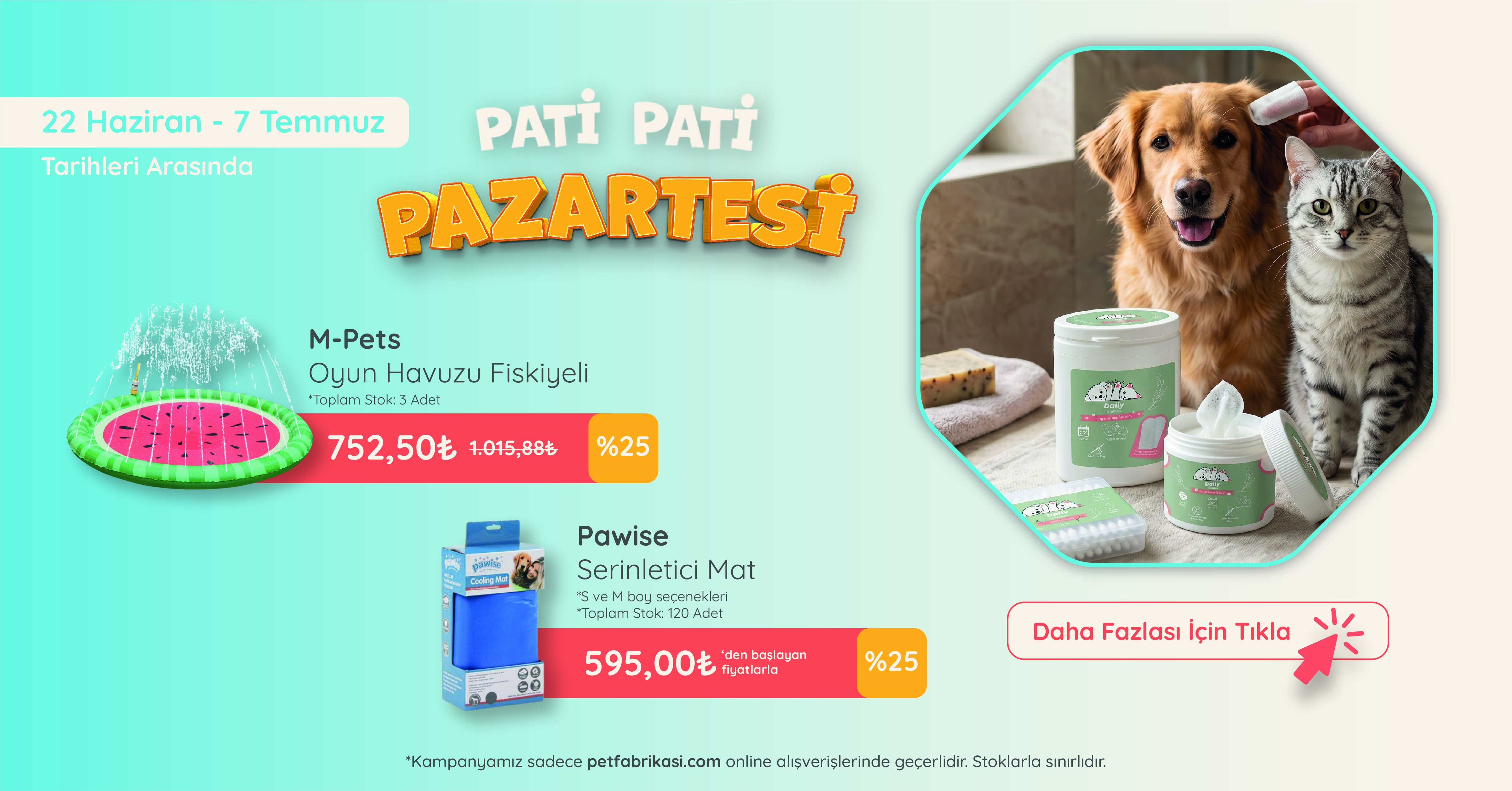 Pati Pati Pazartesi - Web