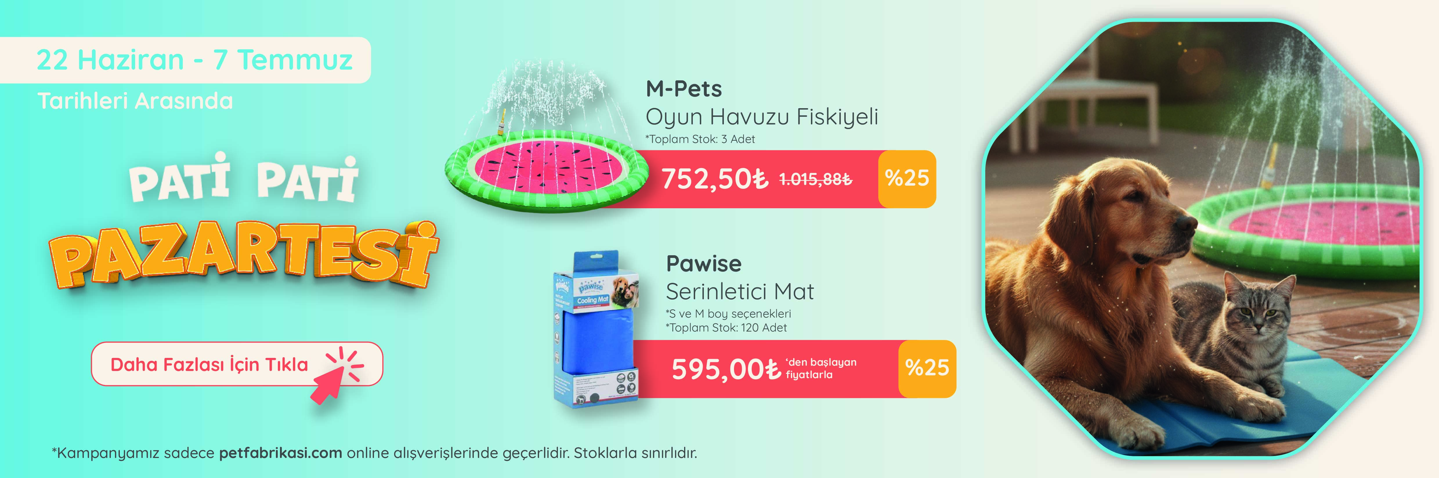 Pati Pati Pazartesi - Web