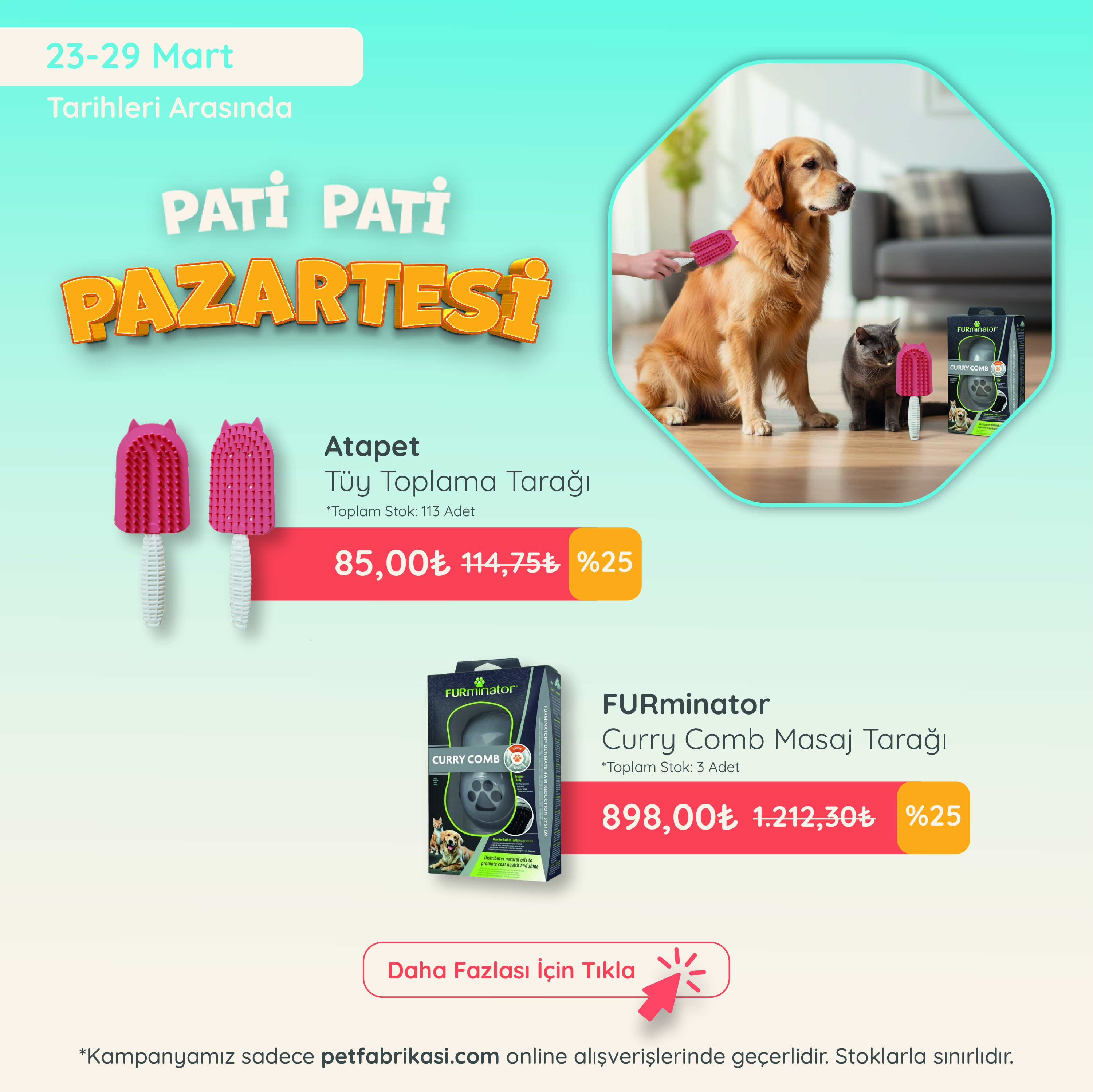 Pati Pati Pazartesi - Mobil