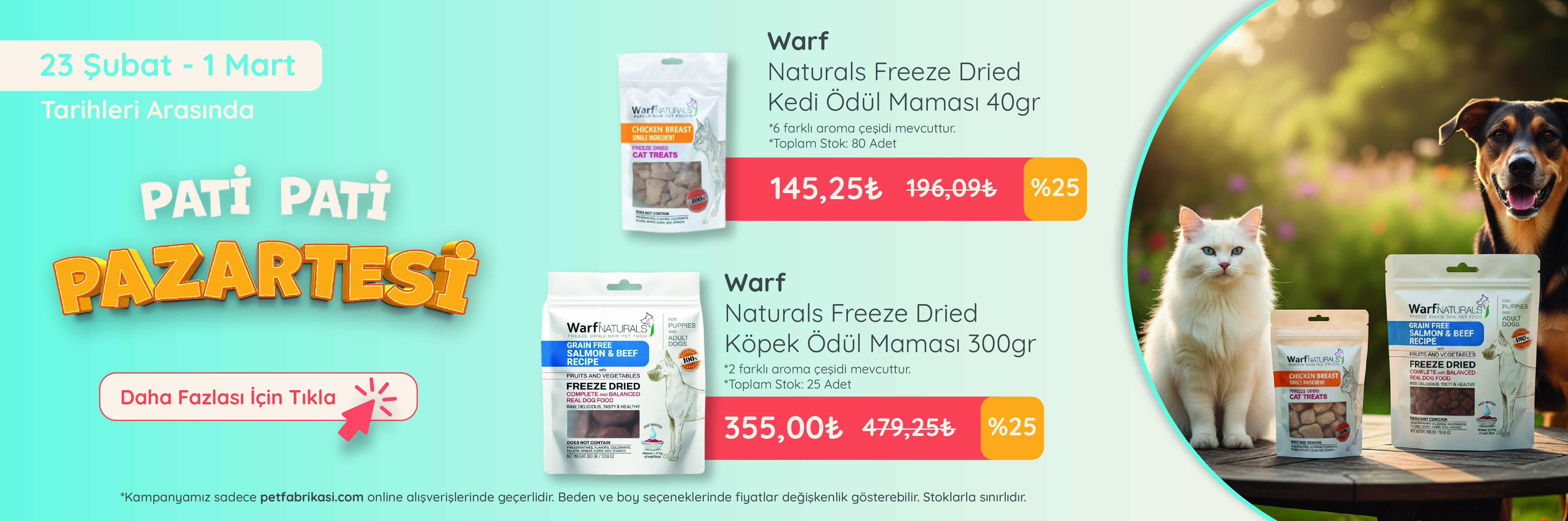 Pati Pati Pazartesi - Web