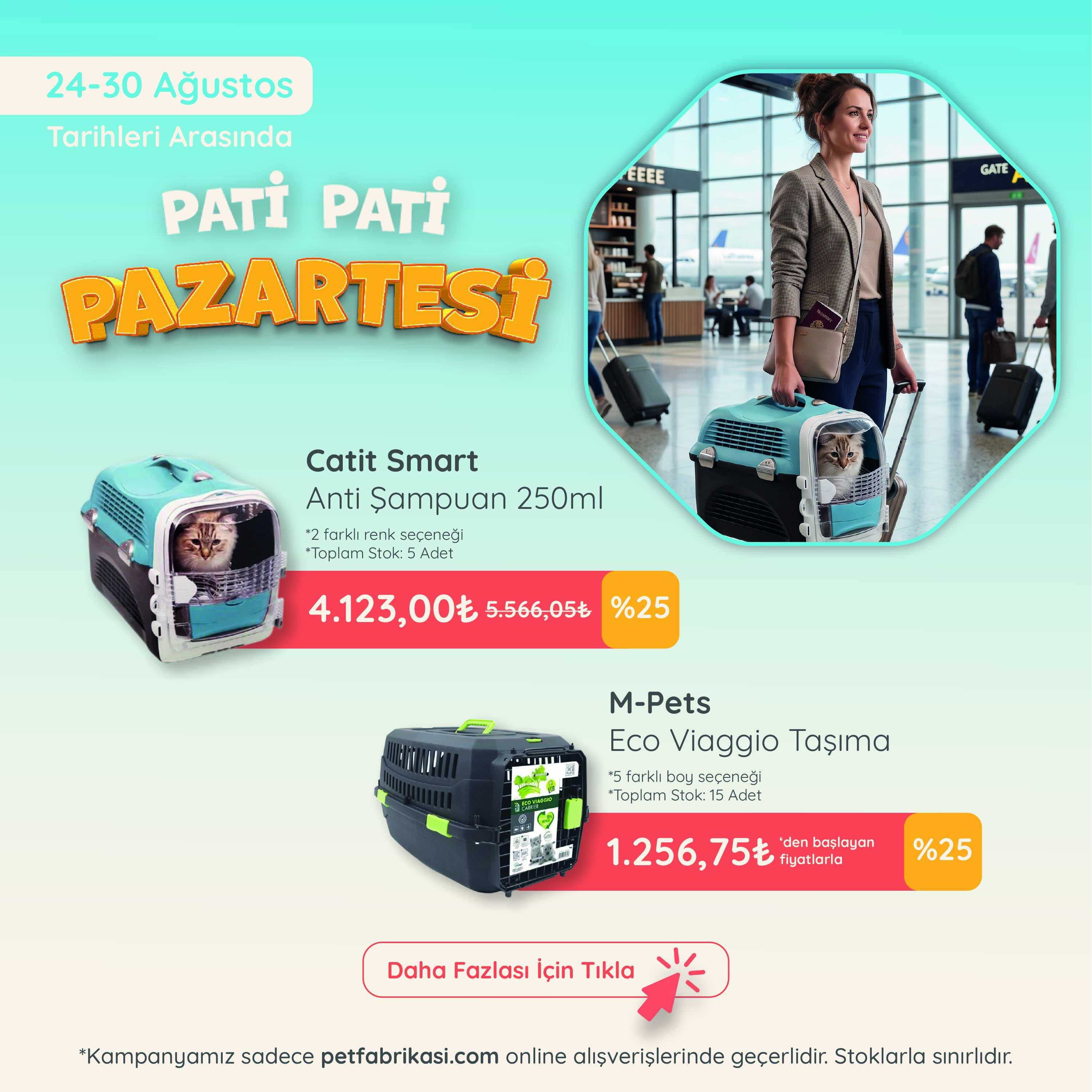 Pati Pati Pazartesi - Mobil