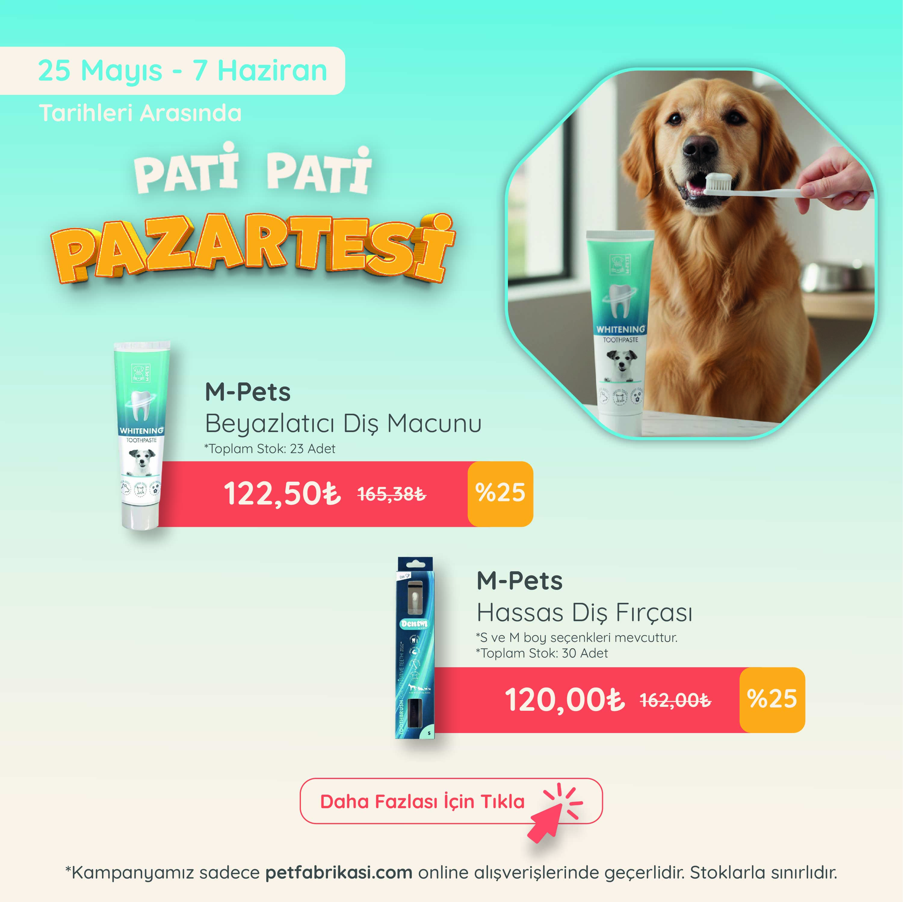 Pati Pati Pazartesi - Mobil