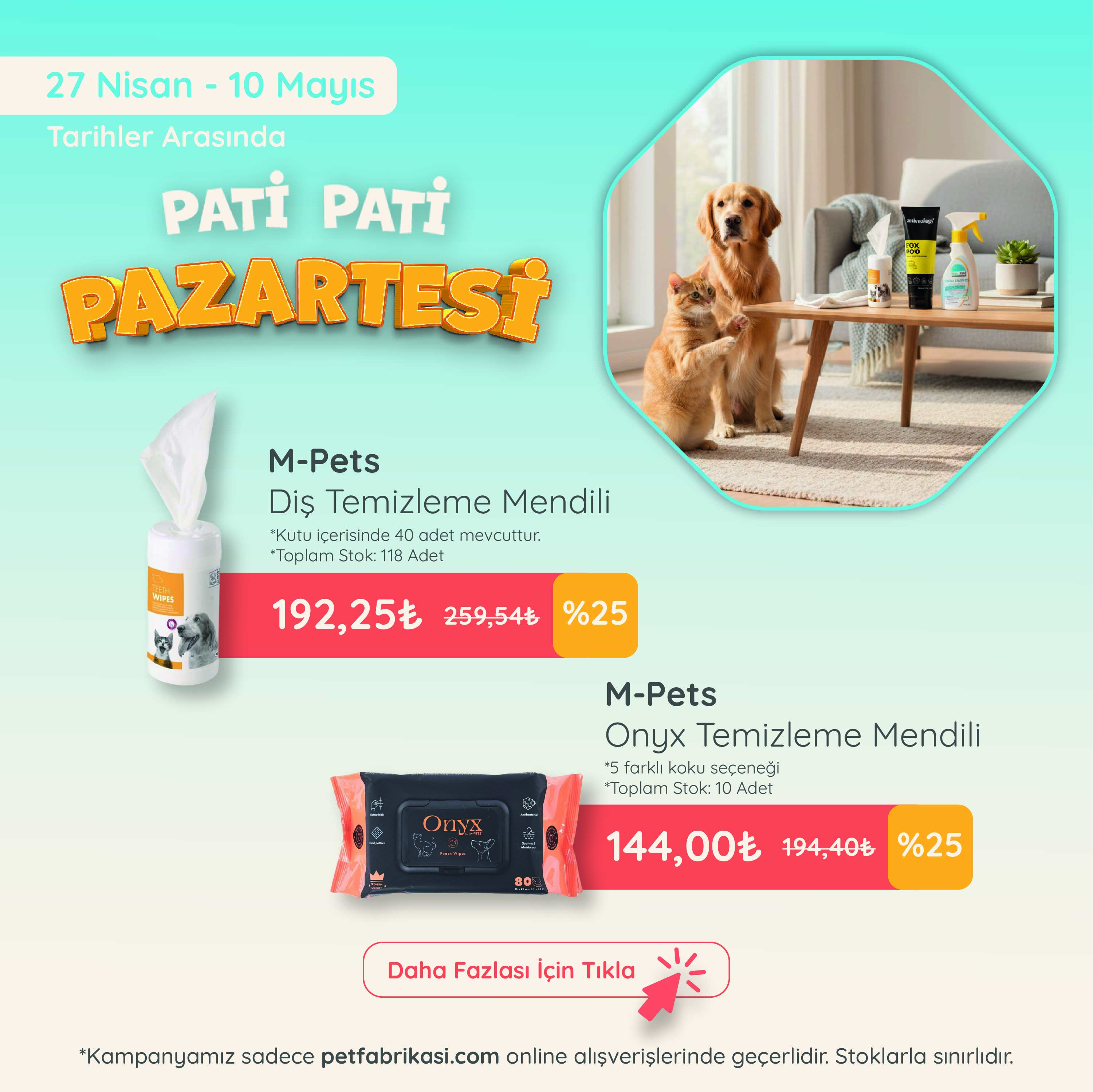 Pati Pati Pazartesi - Mobil