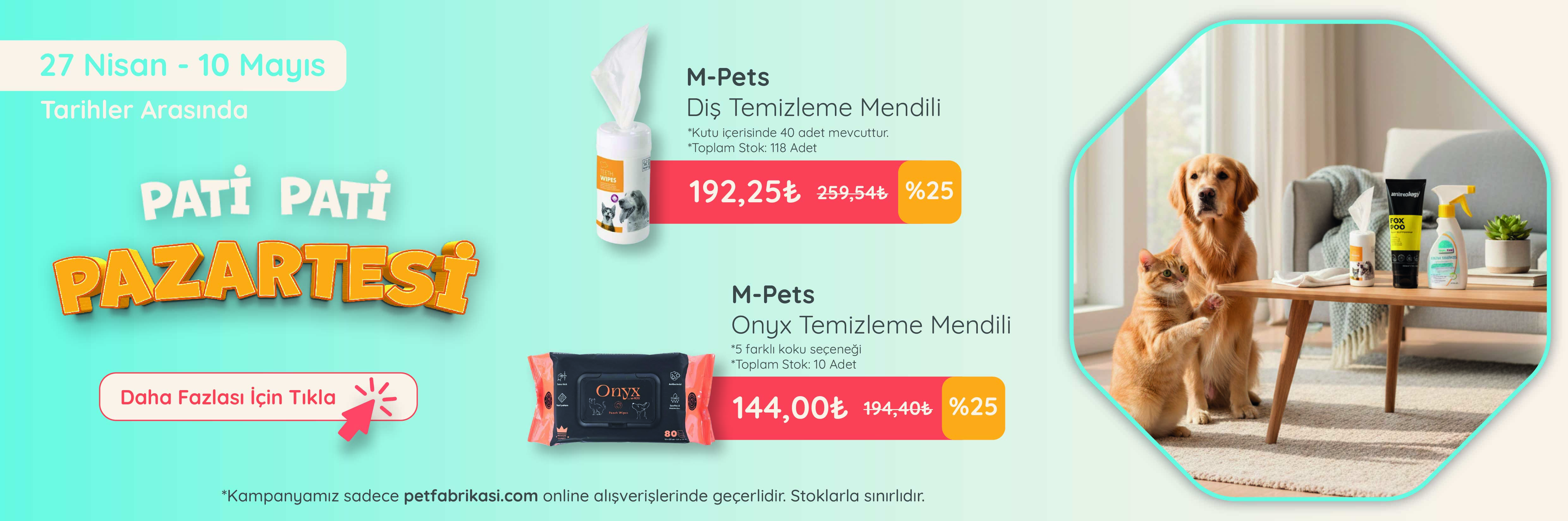 Pati Pati Pazartesi - Web