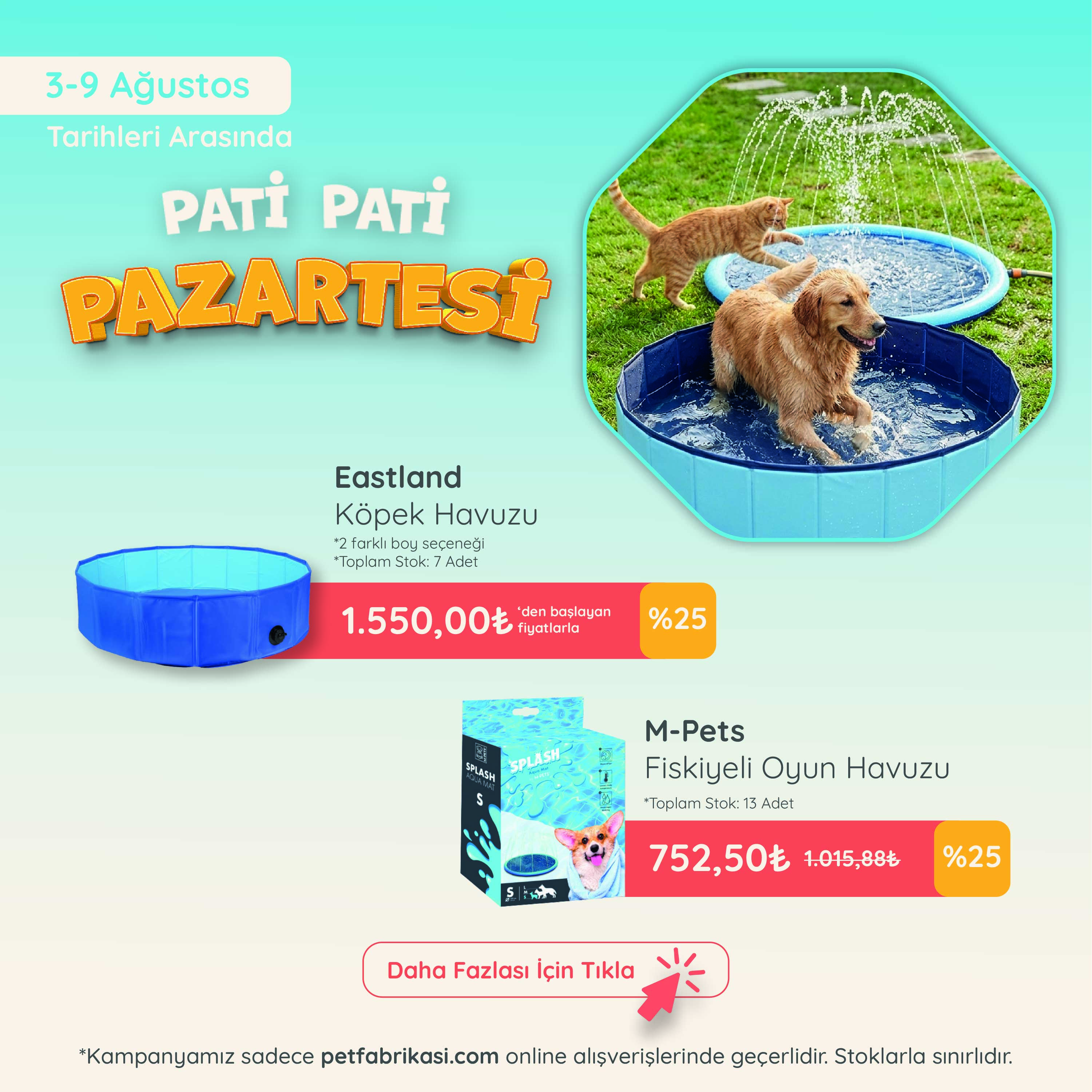 Pati Pati Pazartesi - Mobil