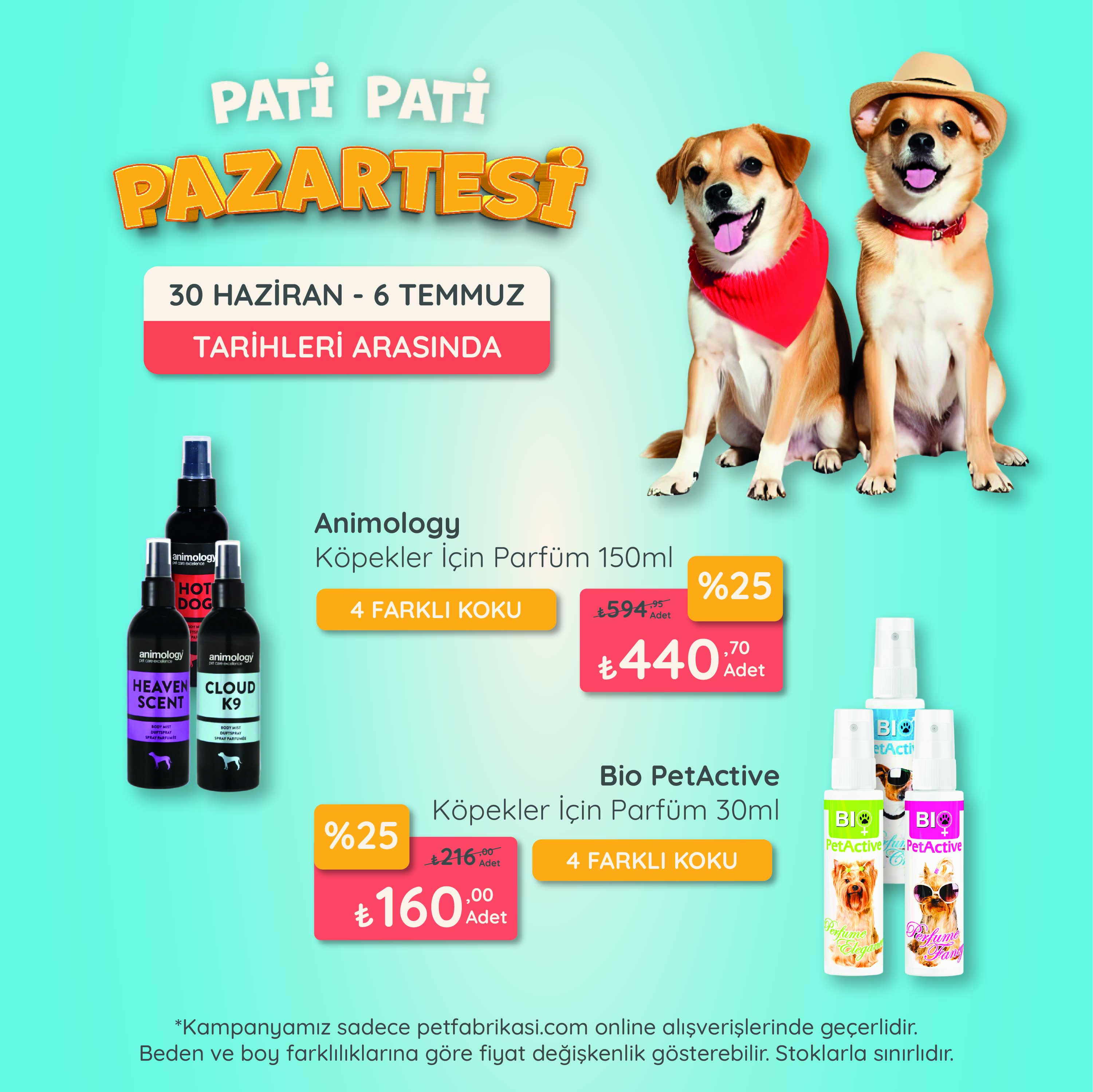 Pati Pati Pazartesi - Mobil