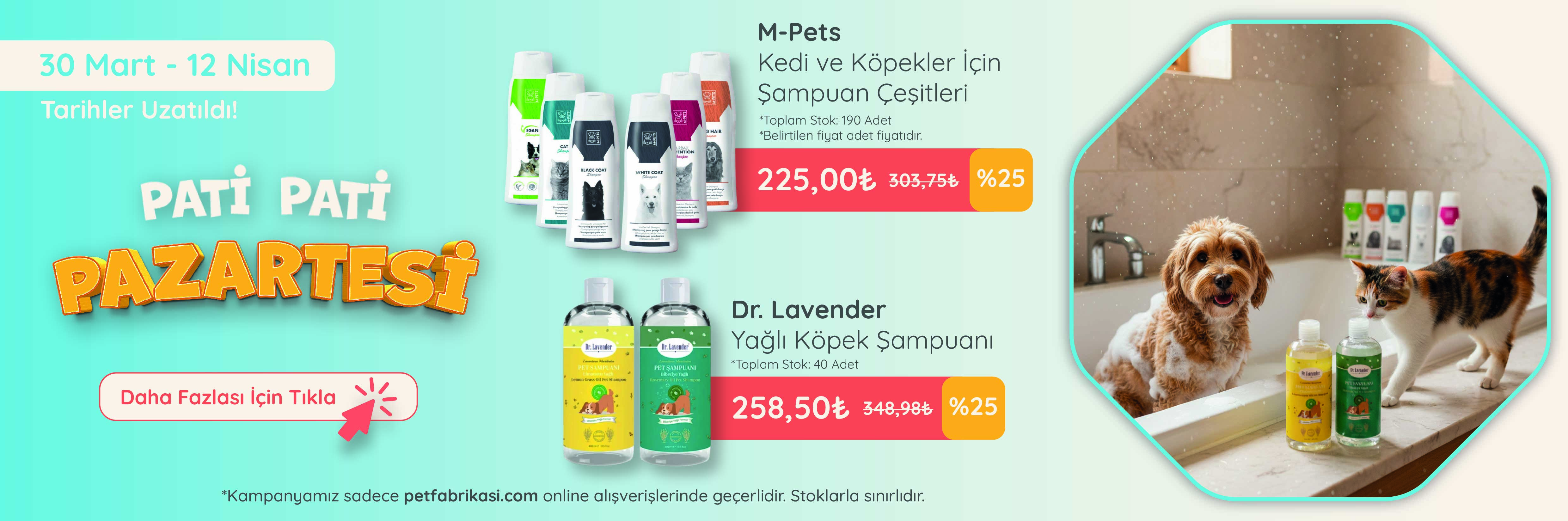 Pati Pati Pazartesi - Web