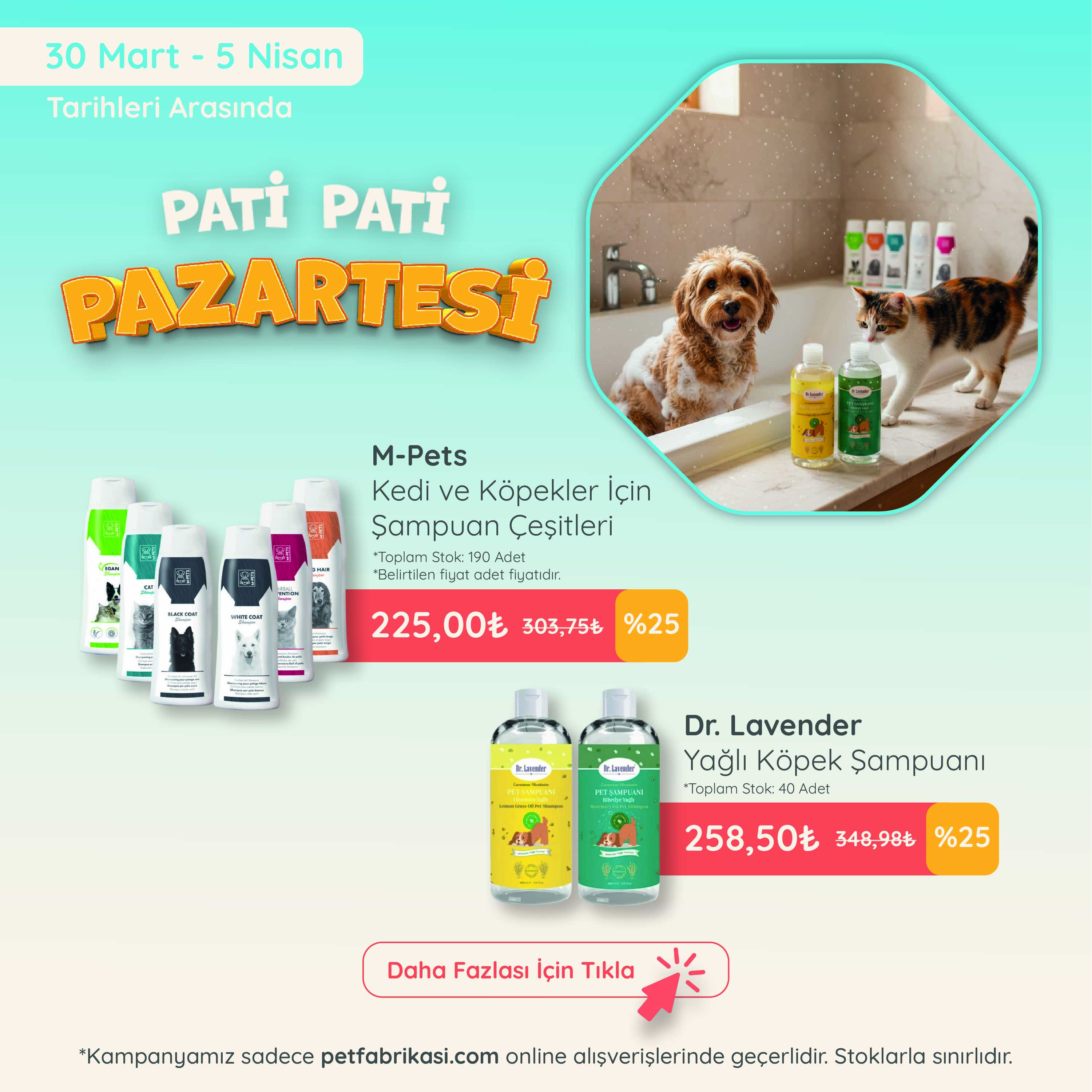 Pati Pati Pazartesi - Mobil