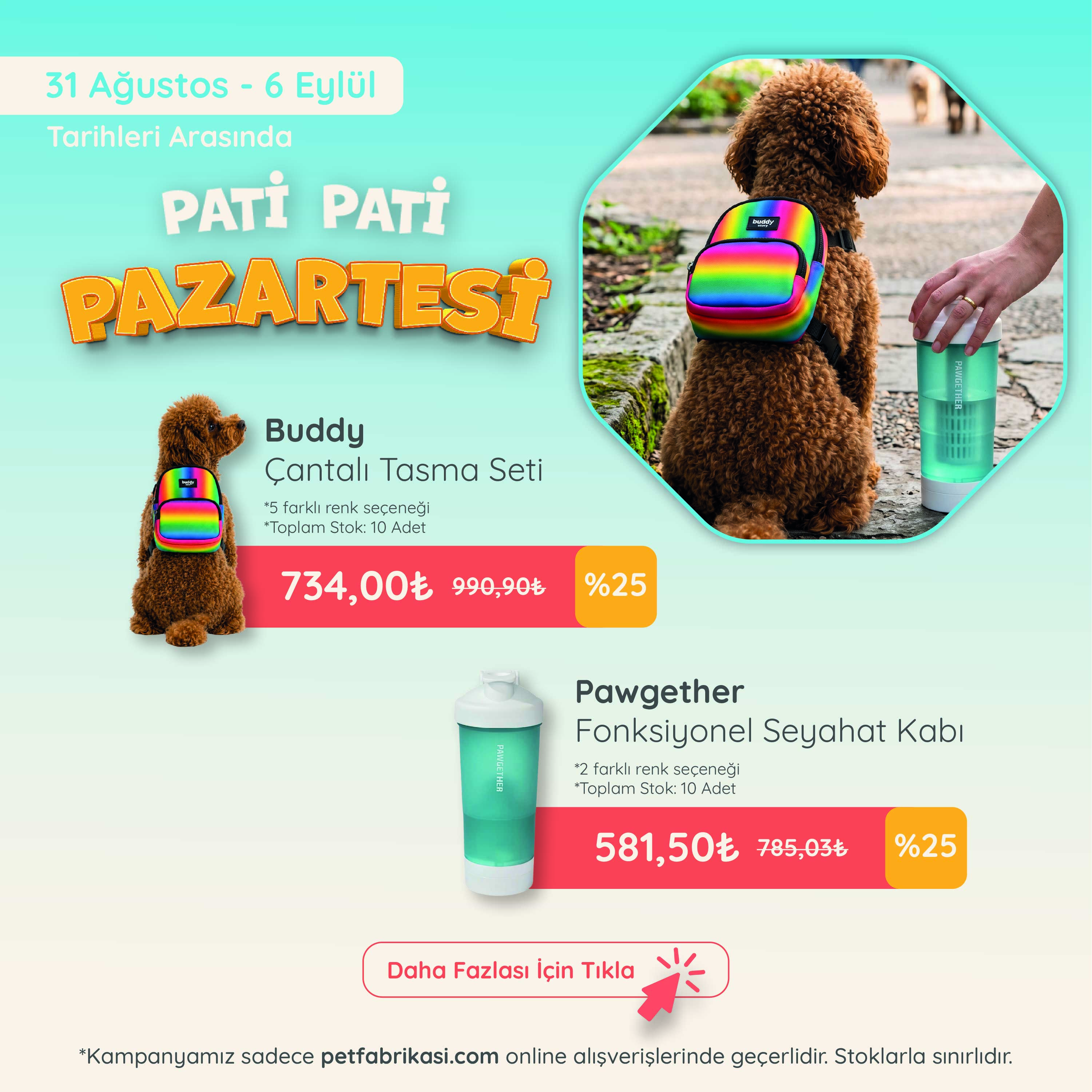 Pati Pati Pazartesi - Mobil