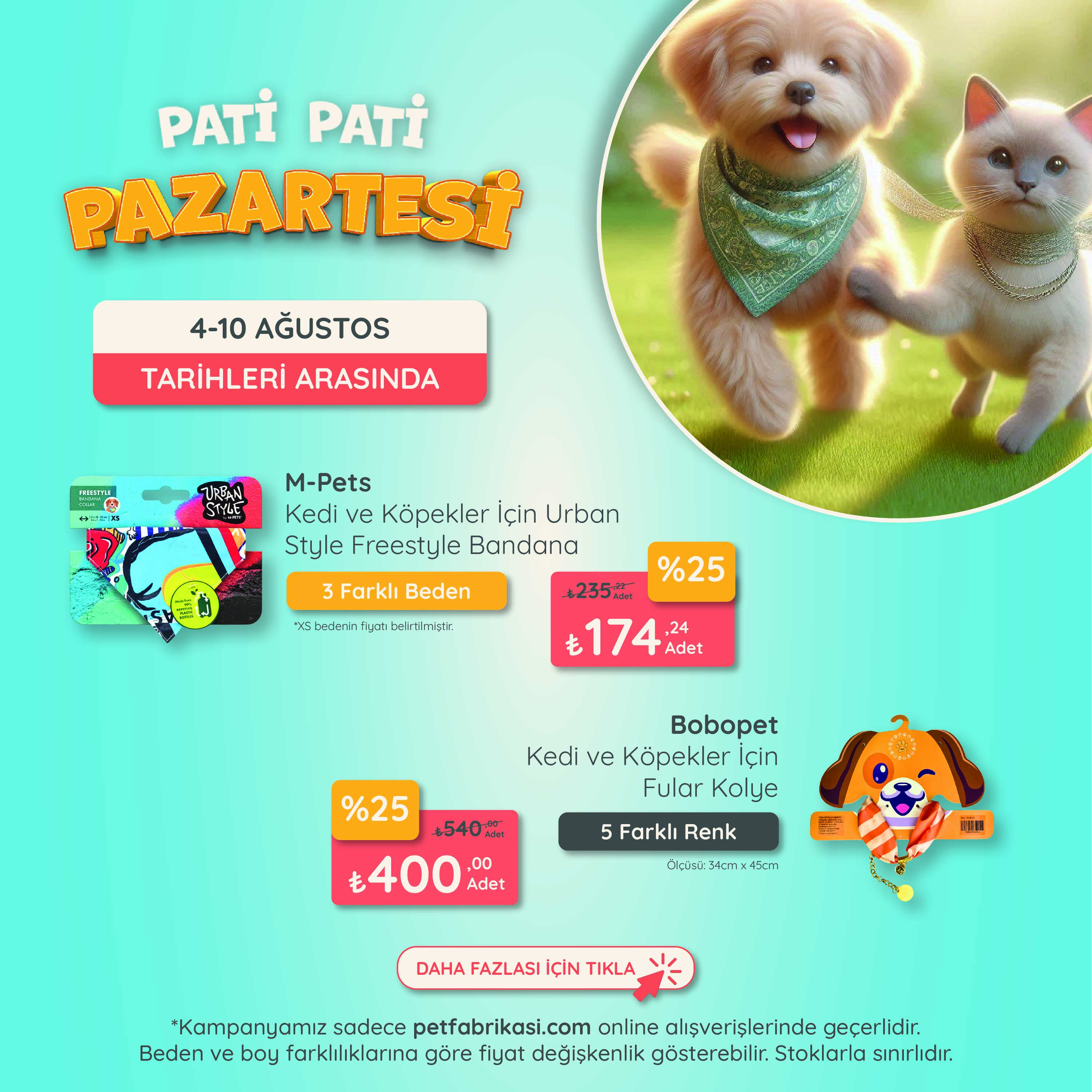 Pati Pati Pazartesi - Mobil