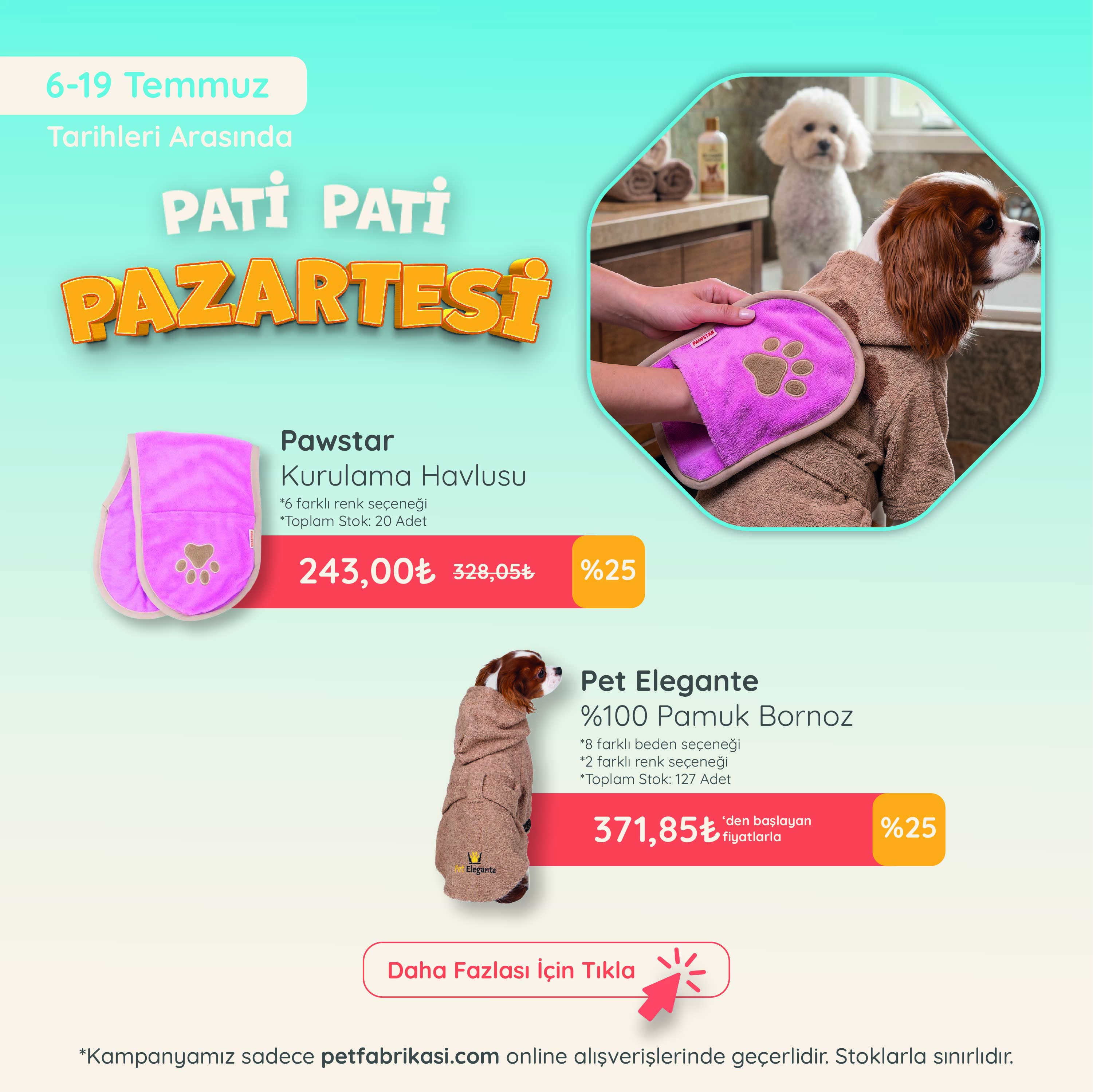 Pati Pati Pazartesi - Mobil