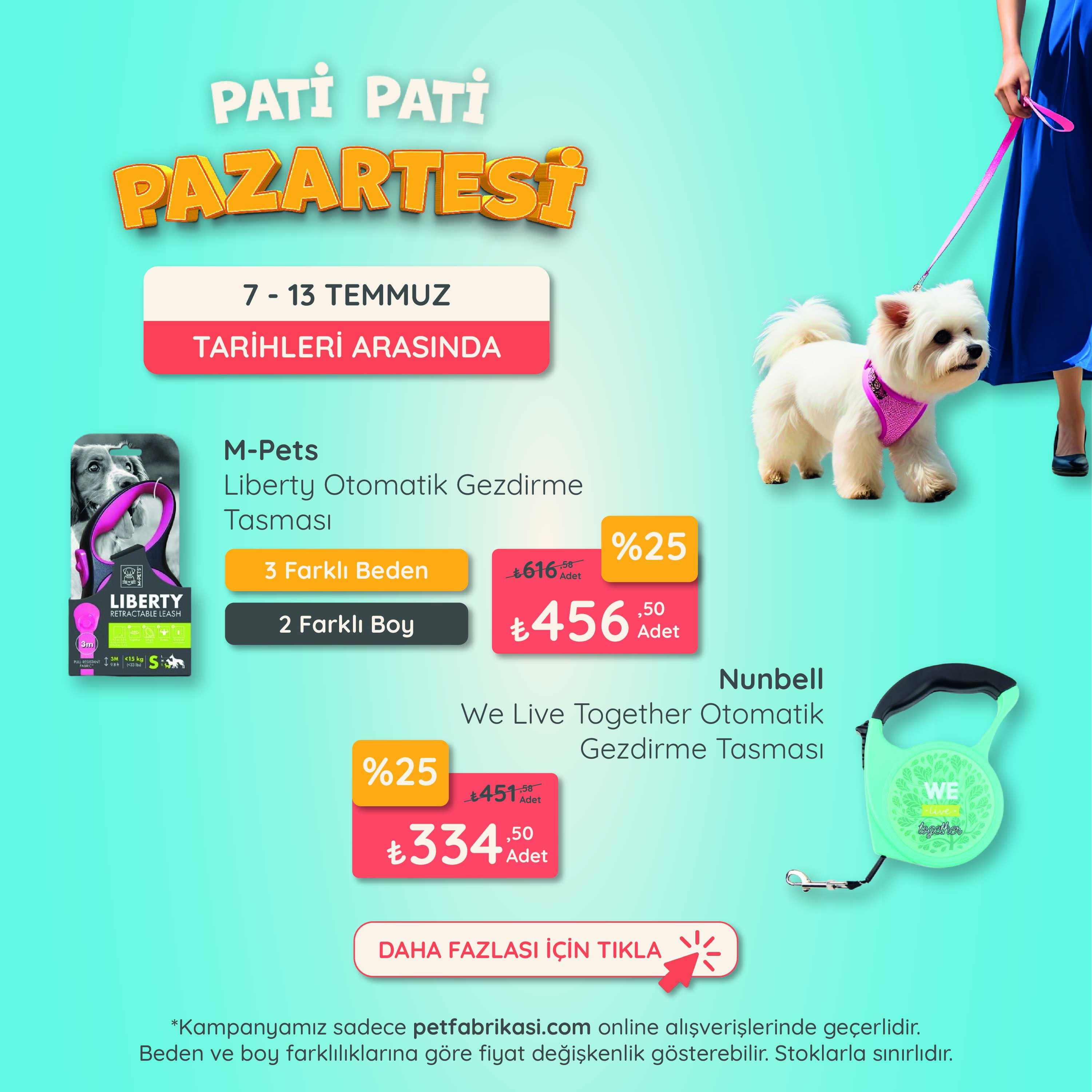 Pati Pati Pazartesi - Mobil