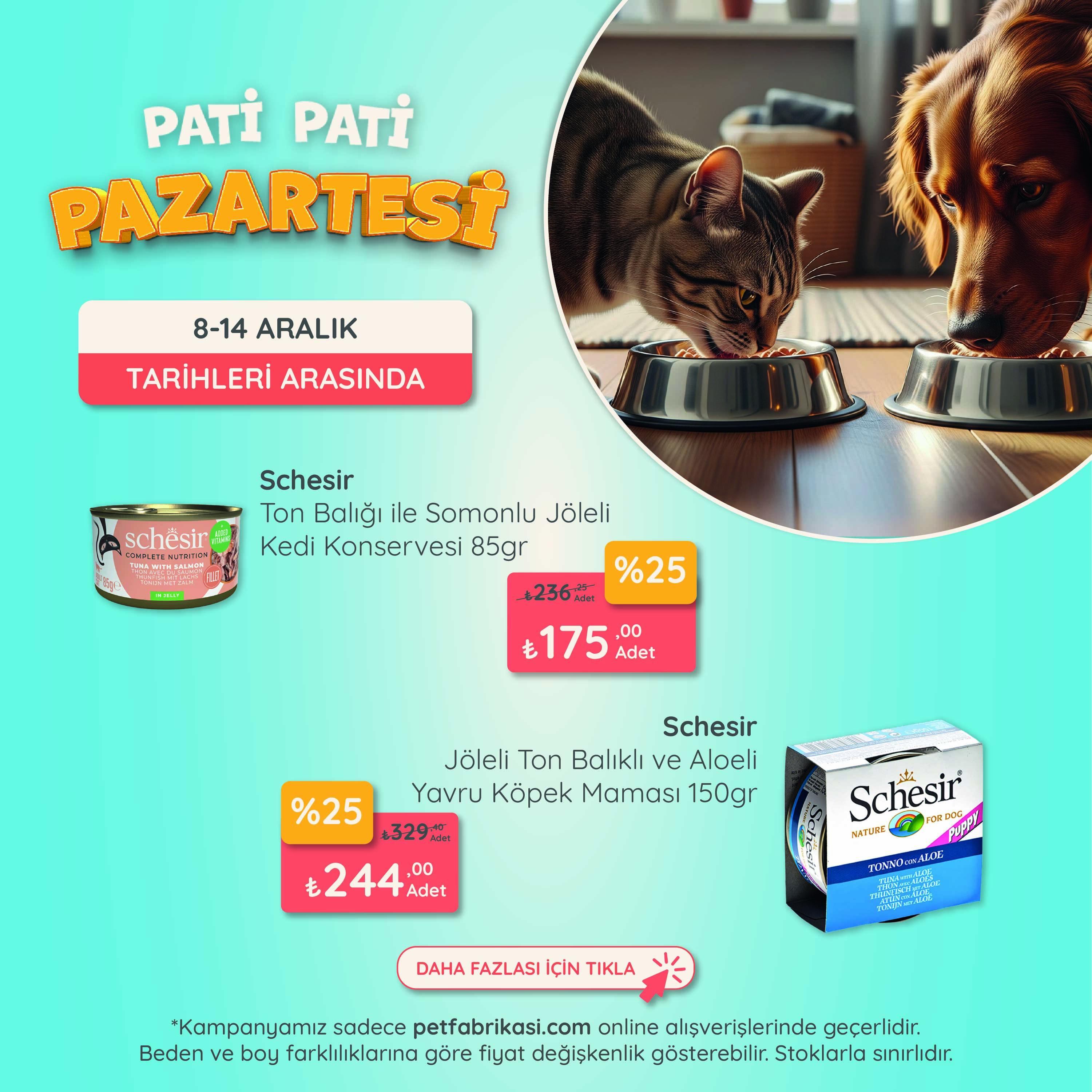 Pati Pati Pazartesi - Mobil