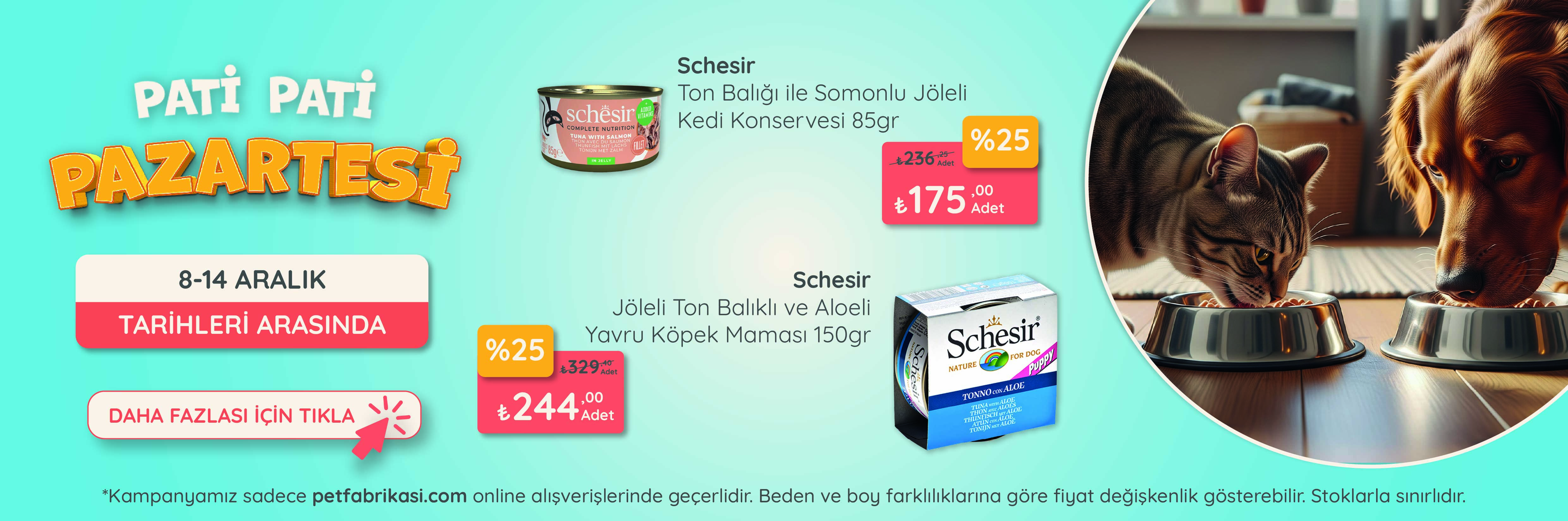 Pati Pati Pazartesi - Web