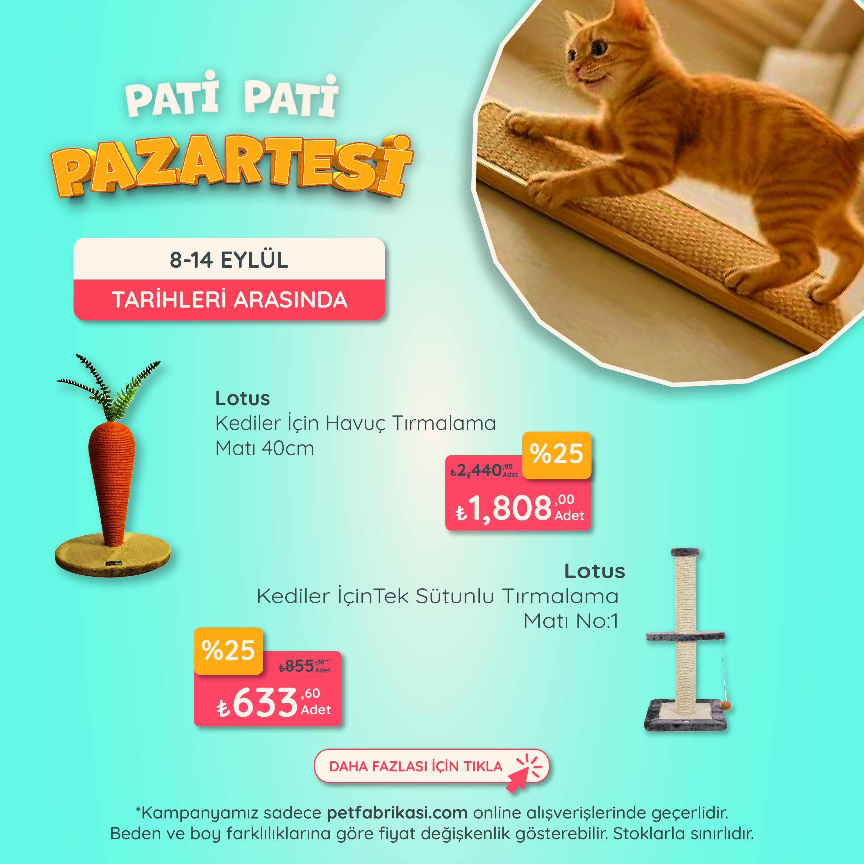 Pati Pati Pazartesi - Mobil
