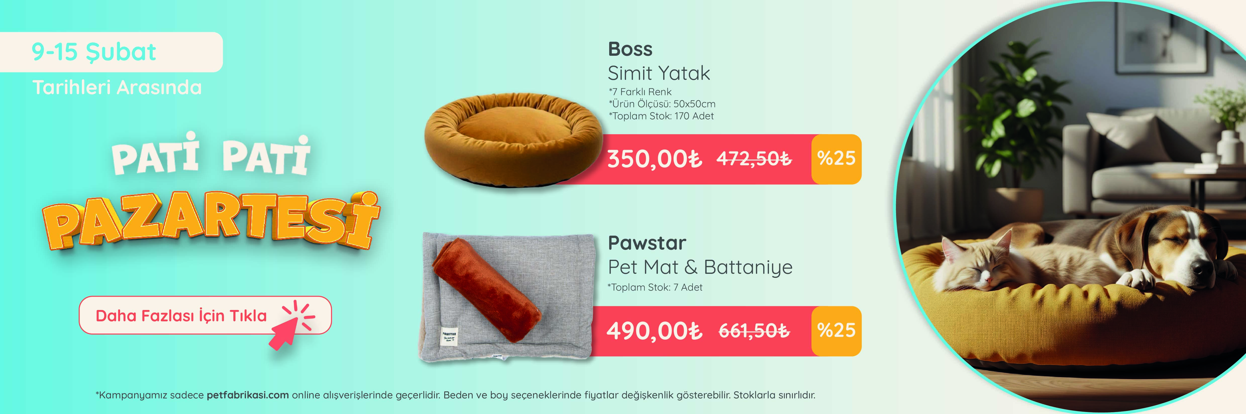 Pati Pati Pazartesi - Web