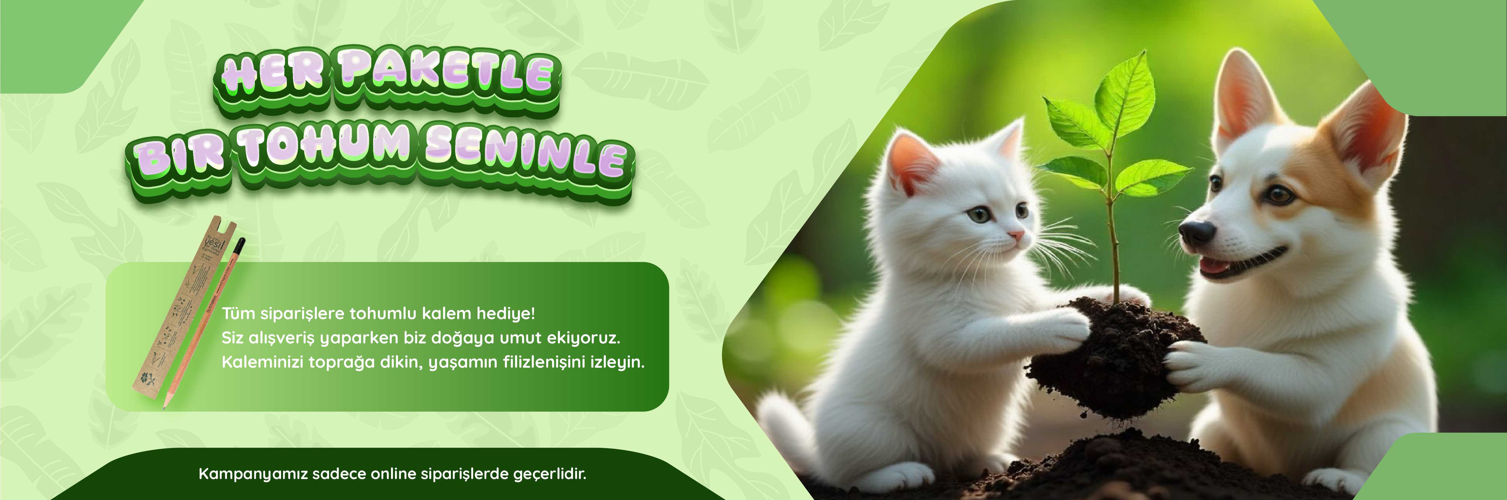 Tohumlu Kalem - Web