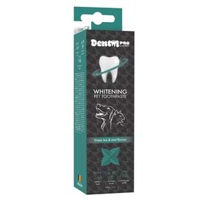 Dental Care Pro Yeşil Çay ve Nane Aromalı Diş Macunu 100 GR -1