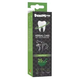 Dental Care Pro Bitkisel Aromalı Diş Macunu 100 GR -1