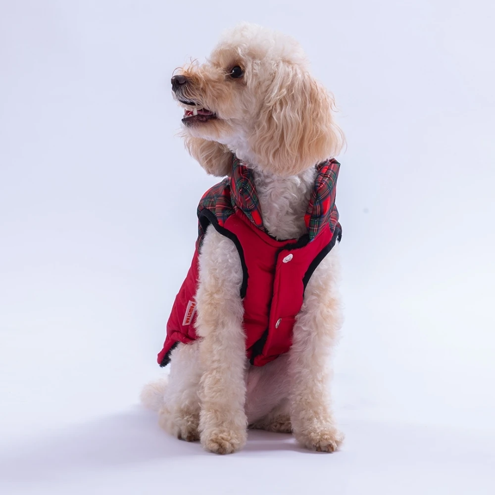 25101 Kırmızı Elgin Paws Yelek 2XL Beden-2