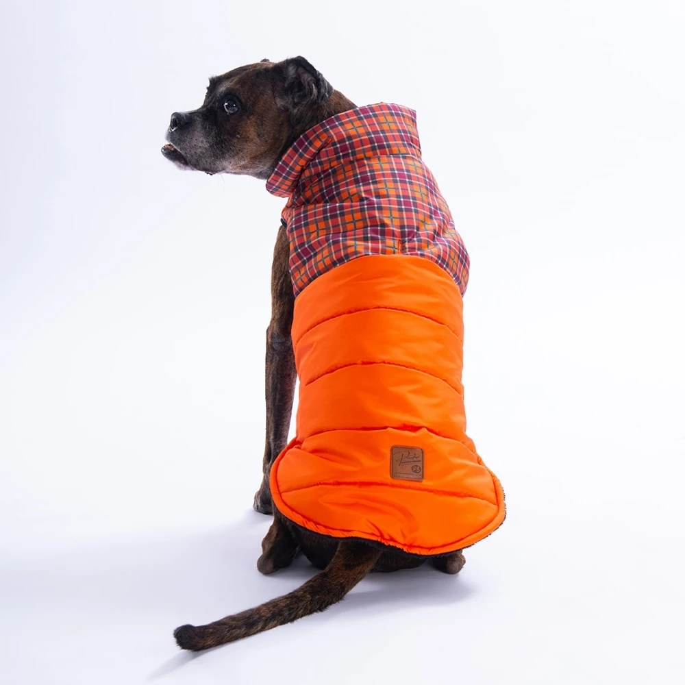 25151 Turuncu Elgin Paws Büyük Irk Yelek 5XL Beden-2